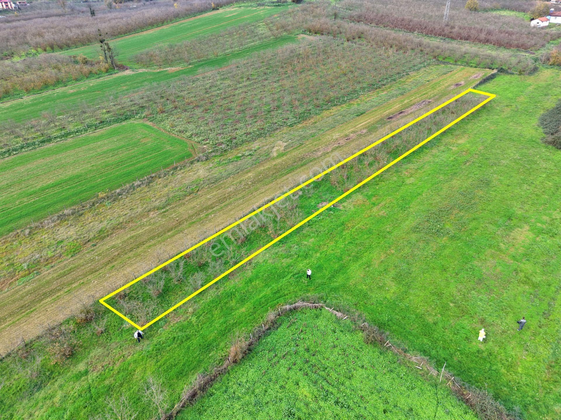 Emlak Evim - Hallaç Mahallesinde 884 M² Köy İçi Satılık Tarla - Görsel 6