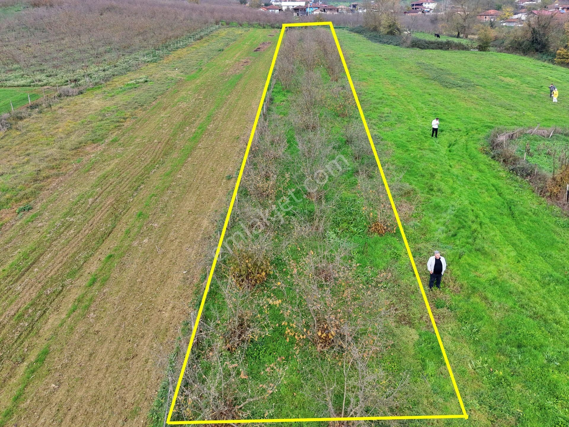 Emlak Evim - Hallaç Mahallesinde 884 M² Köy İçi Satılık Tarla - Görsel 2