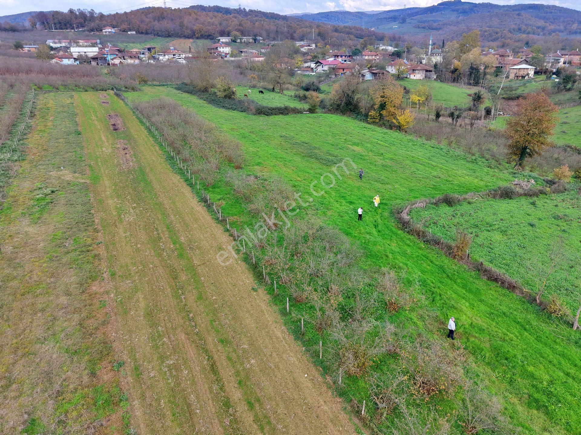 Emlak Evim - Hallaç Mahallesinde 884 M² Köy İçi Satılık Tarla - Görsel 7