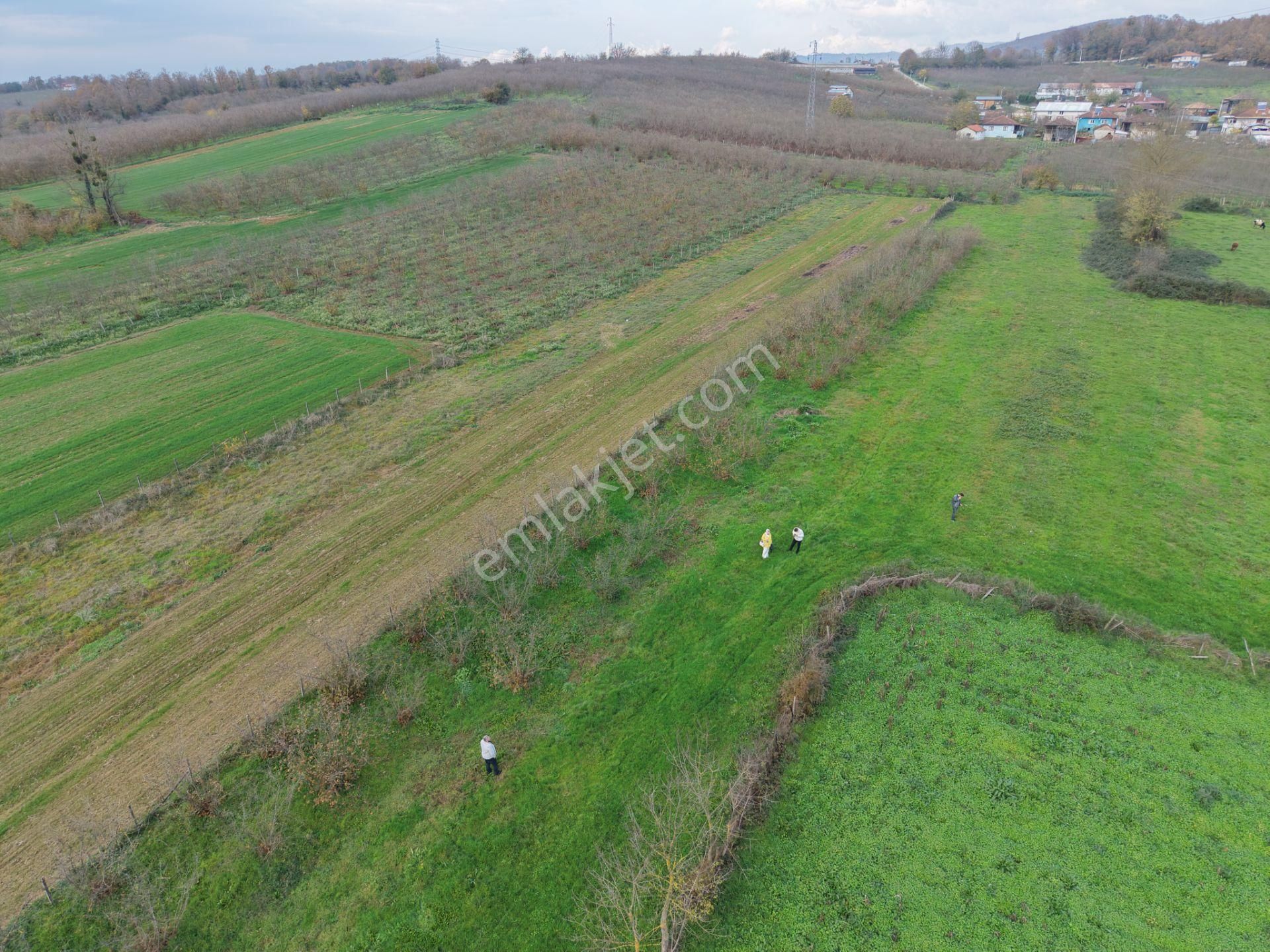 Emlak Evim - Hallaç Mahallesinde 884 M² Köy İçi Satılık Tarla - Görsel 8