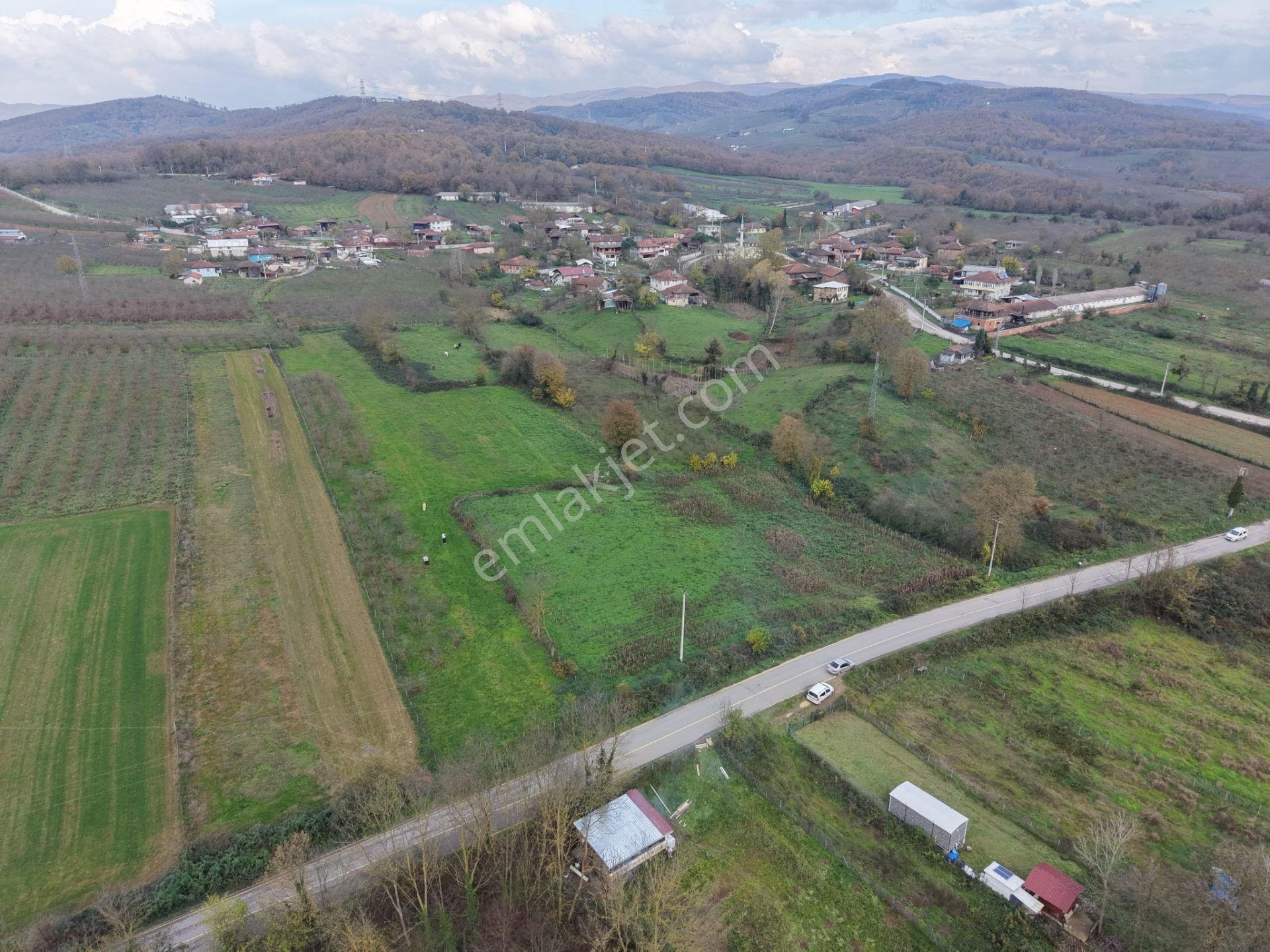 Emlak Evim - Hallaç Mahallesinde 884 M² Köy İçi Satılık Tarla - Görsel 9