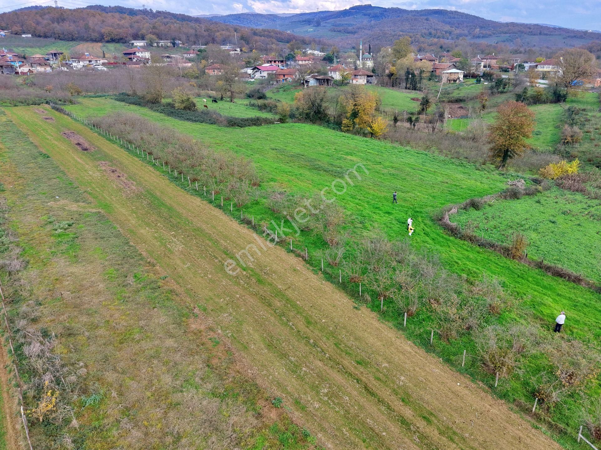 Emlak Evim - Hallaç Mahallesinde 884 M² Köy İçi Satılık Tarla - Görsel 5