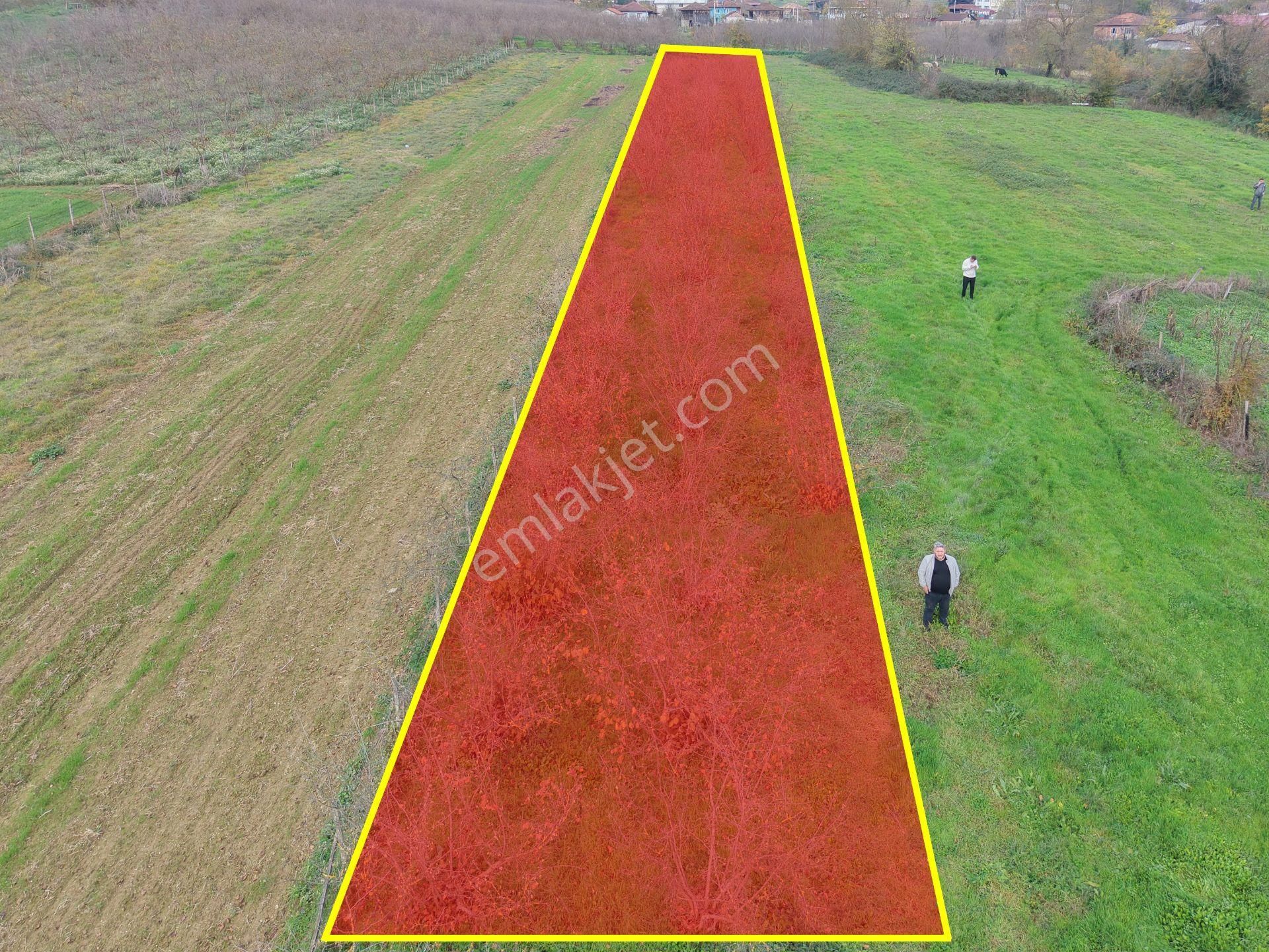 Emlak Evim - Hallaç Mahallesinde 884 M² Köy İçi Satılık Tarla