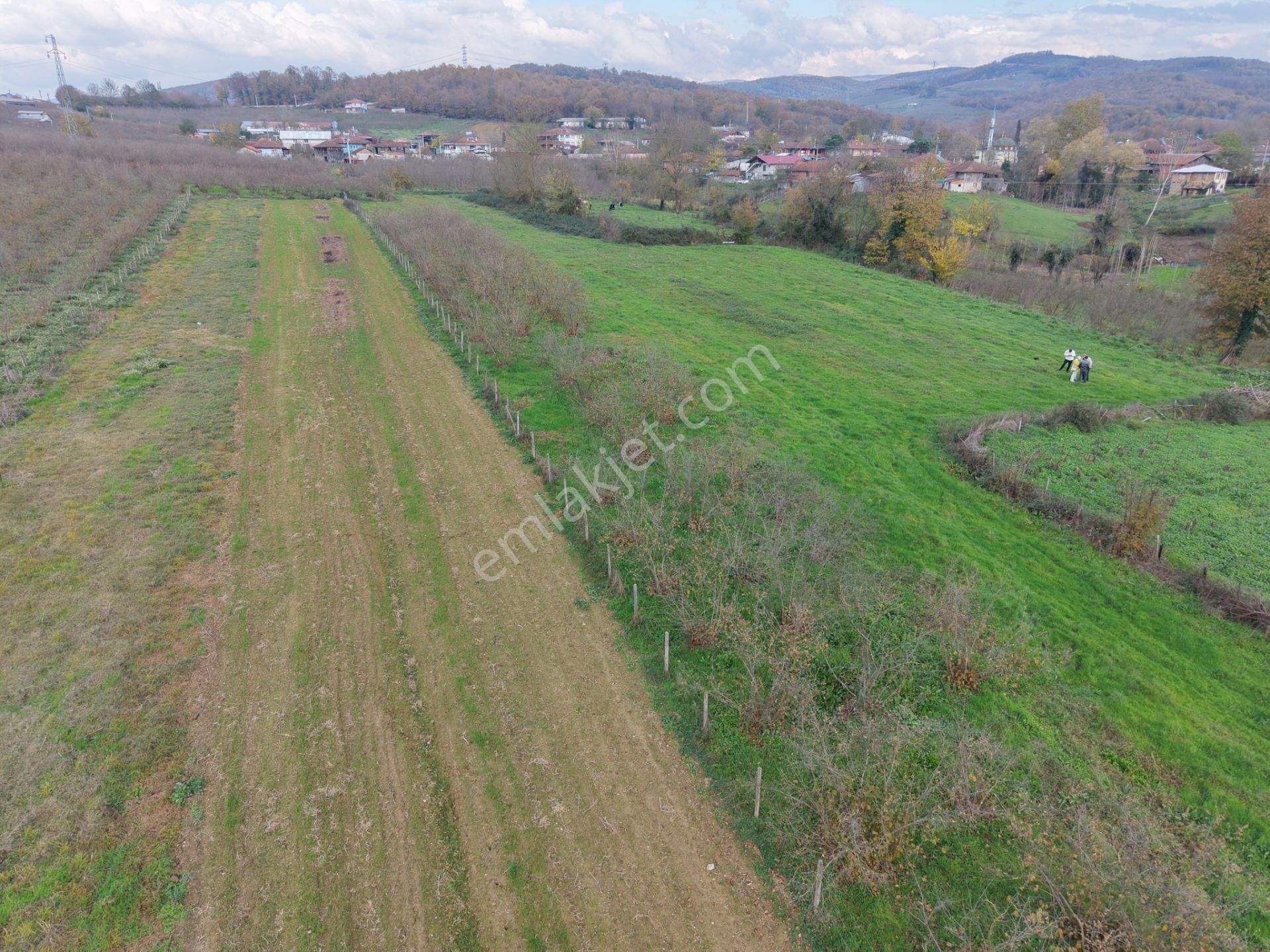 Emlak Evim - Hallaç Mahallesinde 884 M² Köy İçi Satılık Tarla - Görsel 12