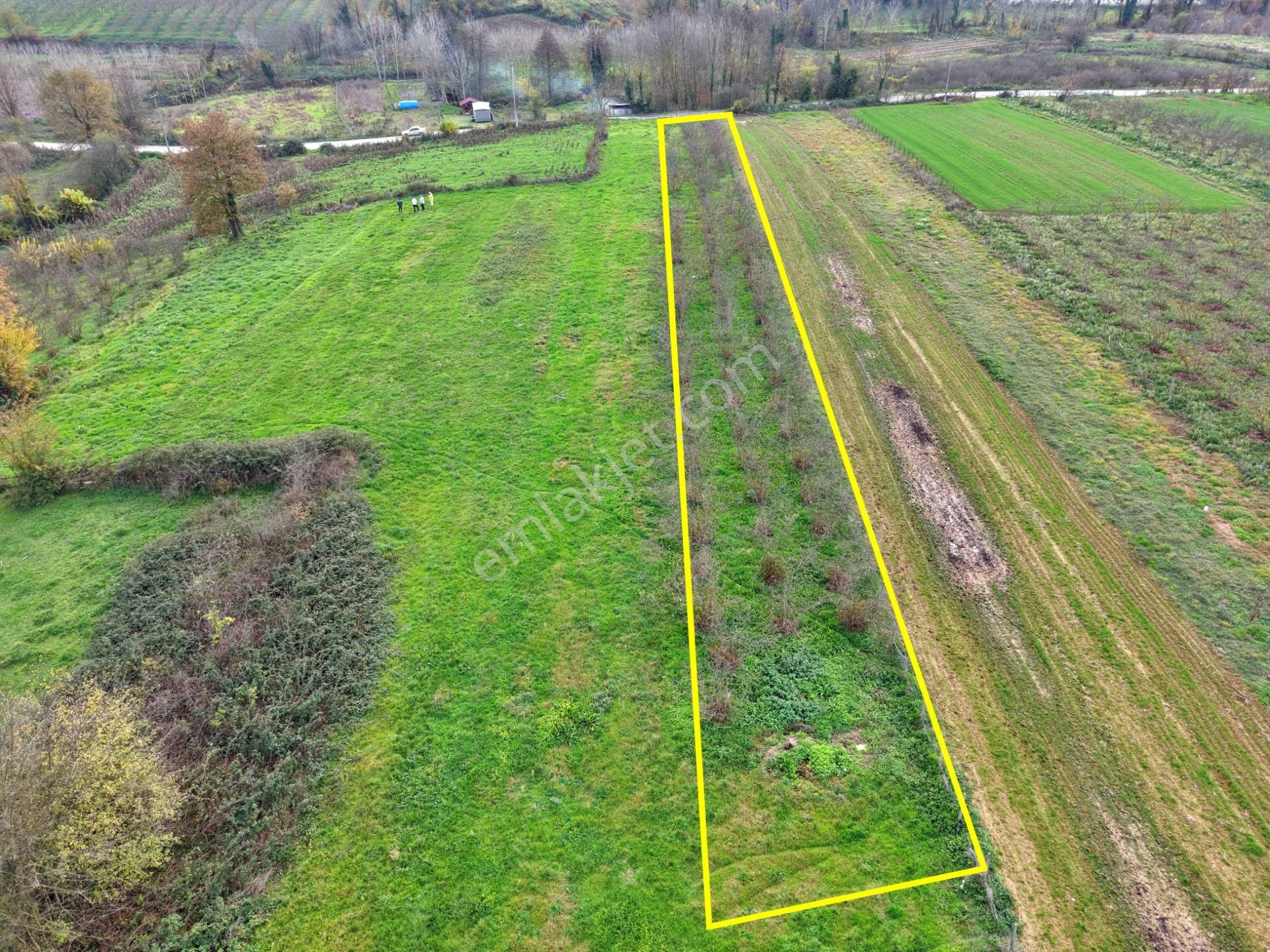 Emlak Evim - Hallaç Mahallesinde 884 M² Köy İçi Satılık Tarla - Görsel 14