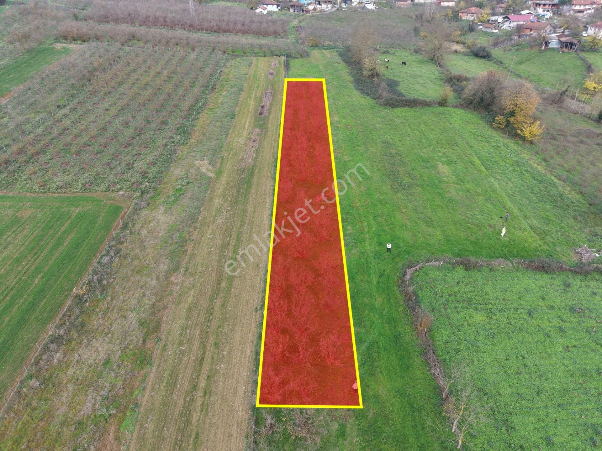 Emlak Evim - Hallaç Mahallesinde 884 M² Köy İçi Satılık Tarla - Görsel 4