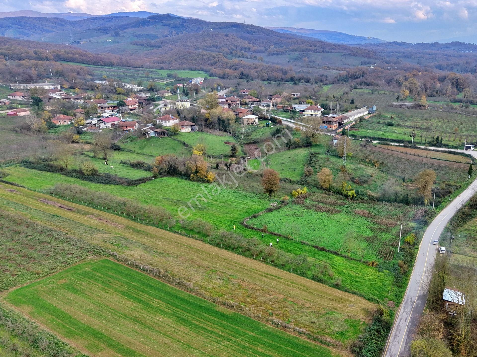 Emlak Evim - Hallaç Mahallesinde 884 M² Köy İçi Satılık Tarla - Görsel 11