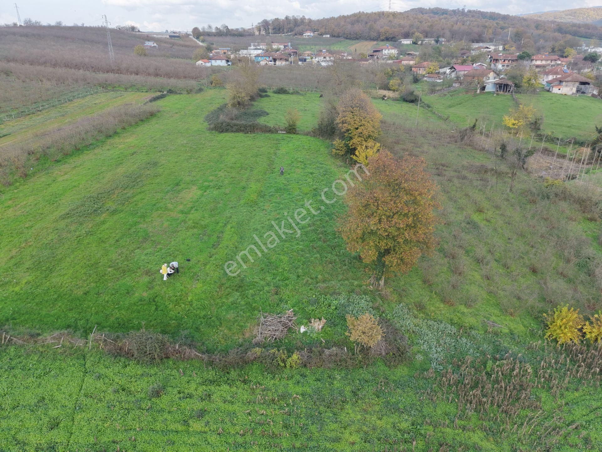 Emlak Evim - Hallaç Mahallesinde 891 M² Köy İçi Satılık Tarla - Görsel 3