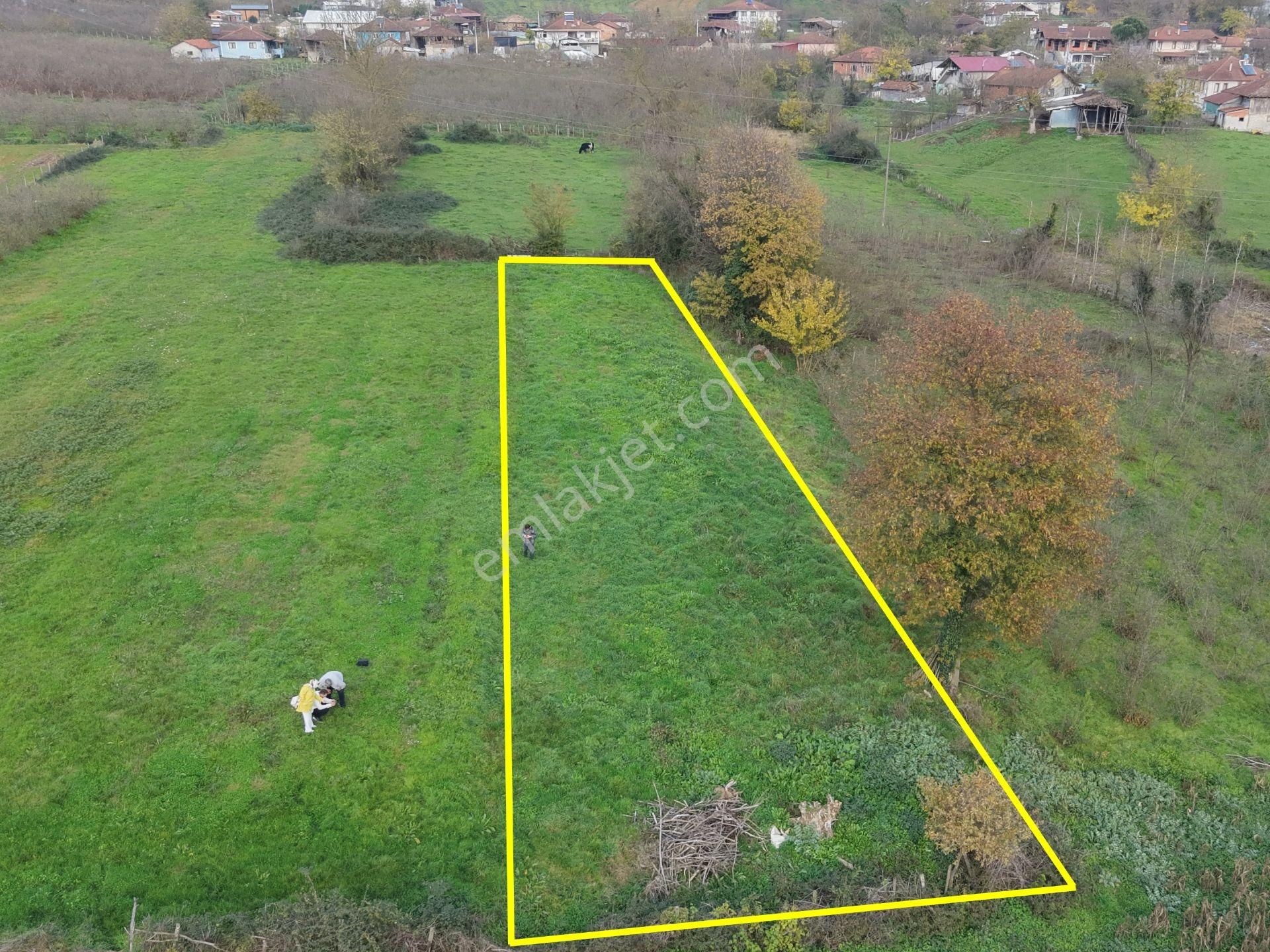 Emlak Evim - Hallaç Mahallesinde 891 M² Köy İçi Satılık Tarla - Görsel 7