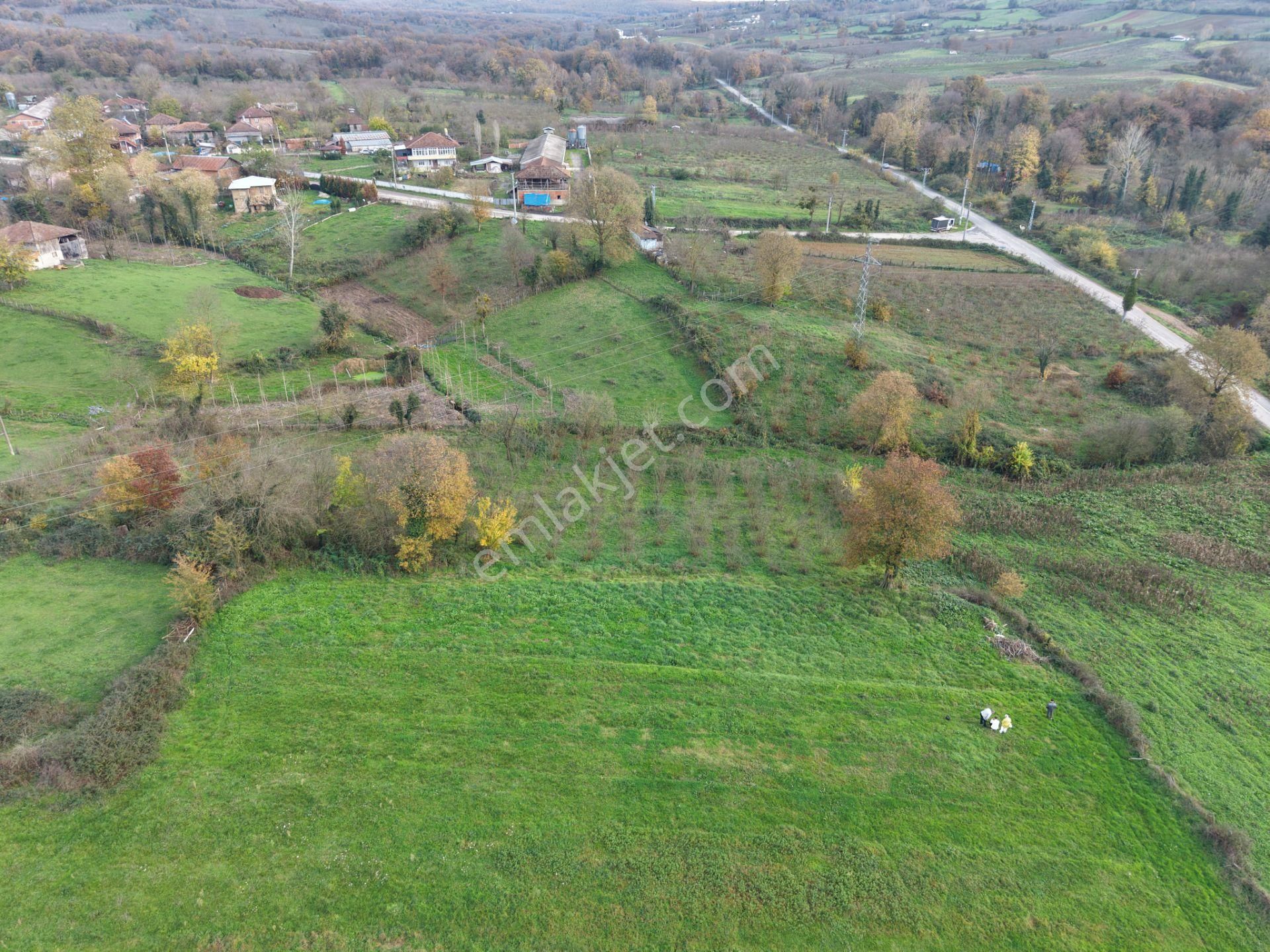 Emlak Evim - Hallaç Mahallesinde 891 M² Köy İçi Satılık Tarla - Görsel 8