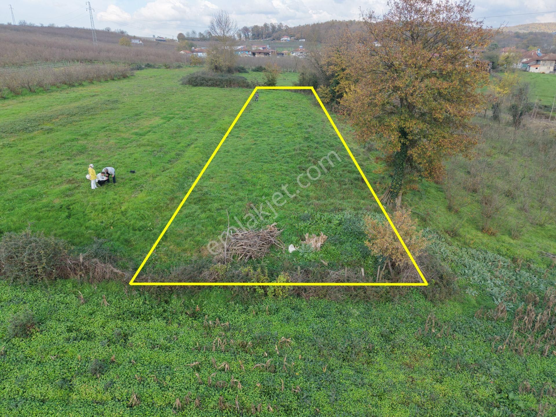 Emlak Evim - Hallaç Mahallesinde 891 M² Köy İçi Satılık Tarla - Görsel 2