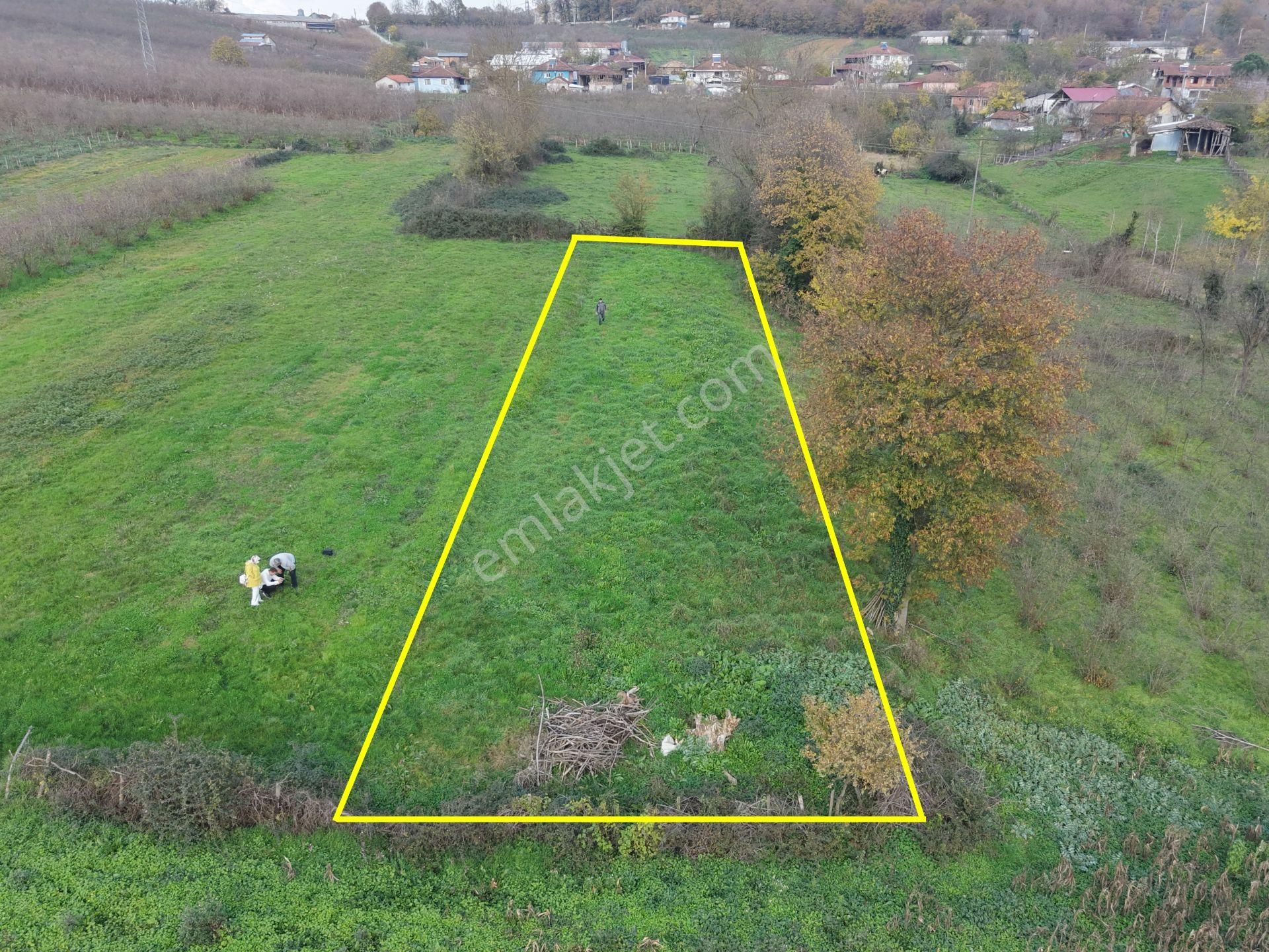 Emlak Evim - Hallaç Mahallesinde 891 M² Köy İçi Satılık Tarla - Görsel 5