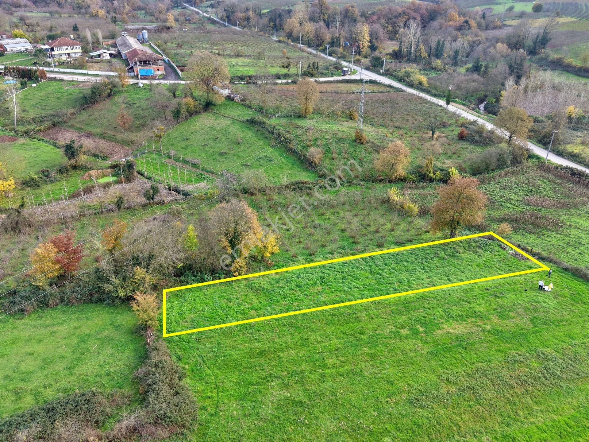 Emlak Evim - Hallaç Mahallesinde 891 M² Köy İçi Satılık Tarla - Görsel 11