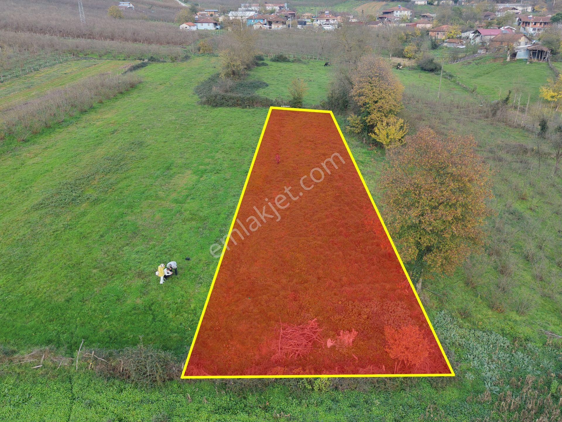 Emlak Evim - Hallaç Mahallesinde 891 M² Köy İçi Satılık Tarla