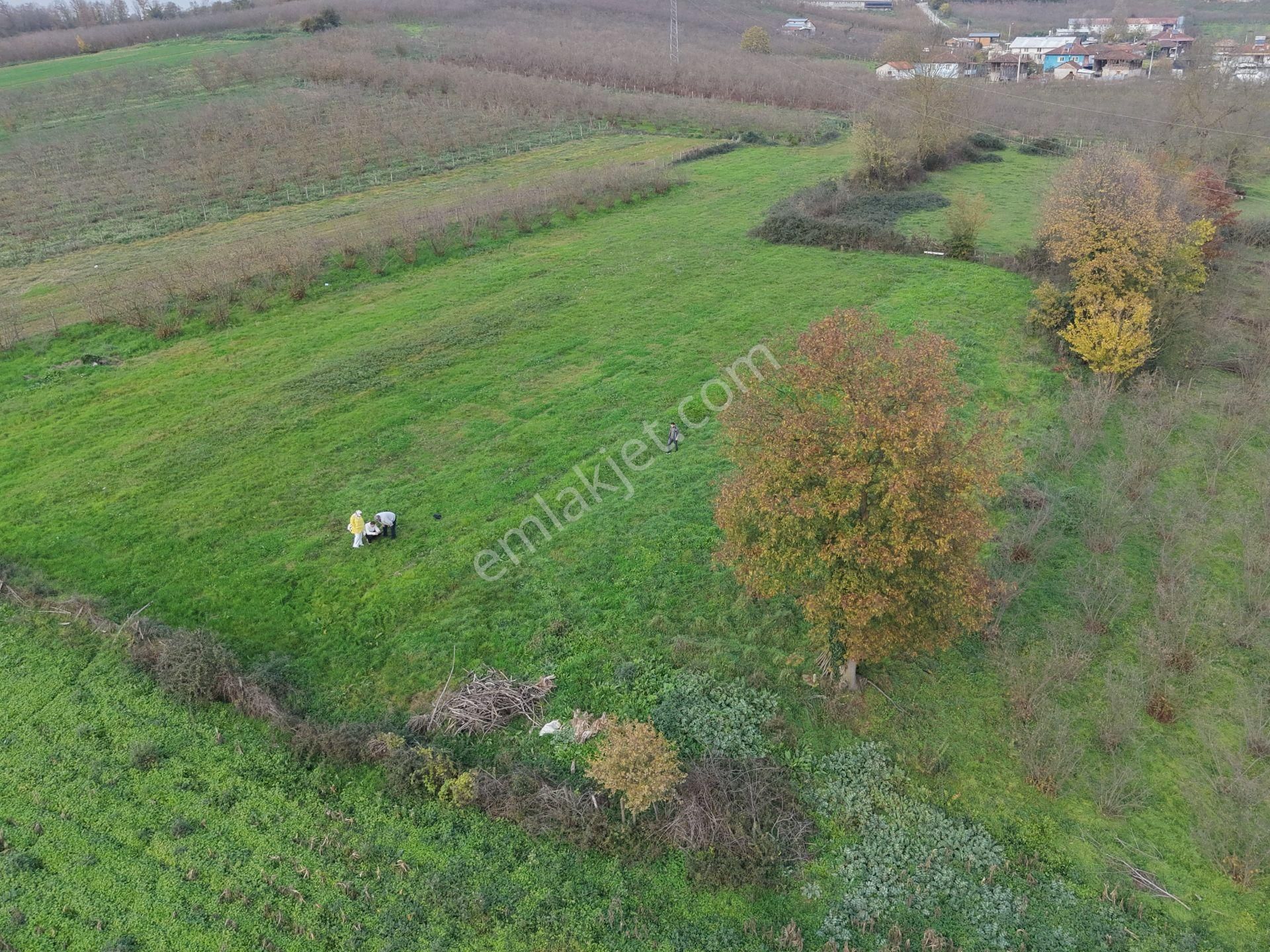 Emlak Evim - Hallaç Mahallesinde 891 M² Köy İçi Satılık Tarla - Görsel 6