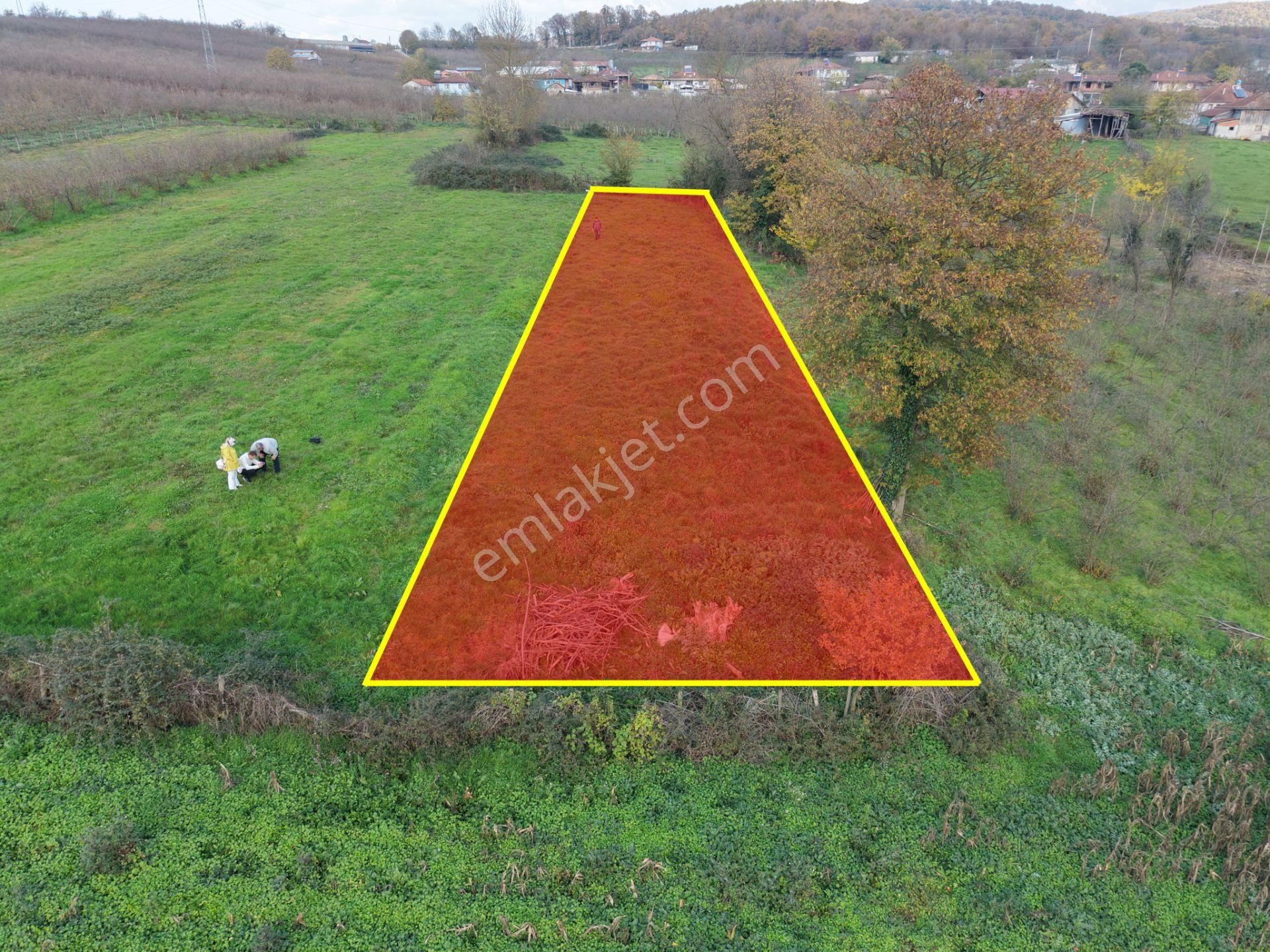 Emlak Evim - Hallaç Mahallesinde 891 M² Köy İçi Satılık Tarla - Görsel 4