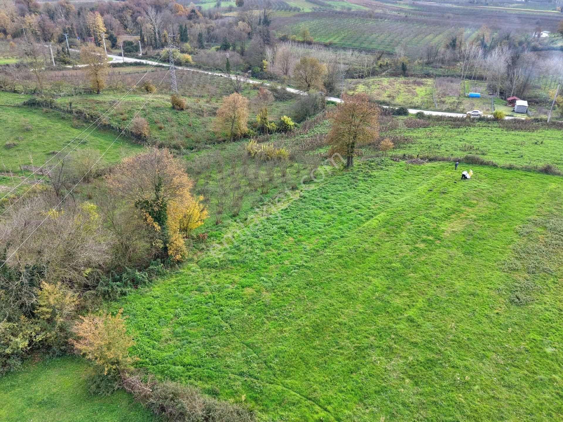 Emlak Evim - Hallaç Mahallesinde 891 M² Köy İçi Satılık Tarla - Görsel 12