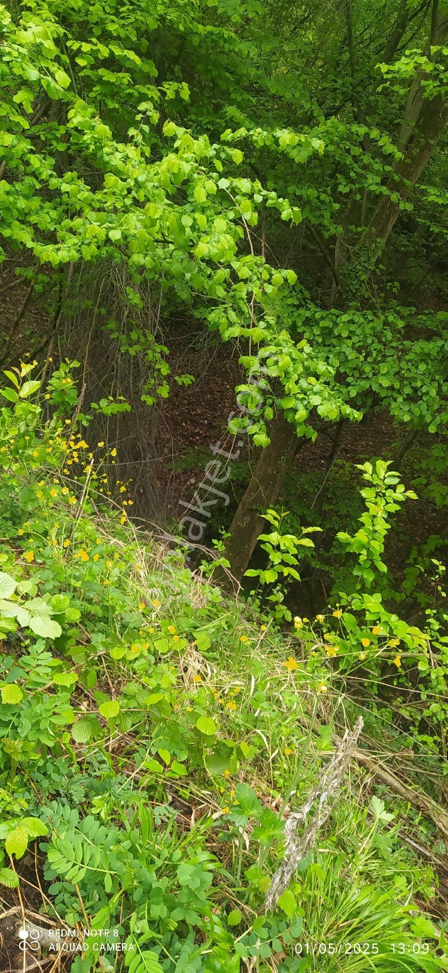 İnegöl Sülüklü Göl - Görsel 3