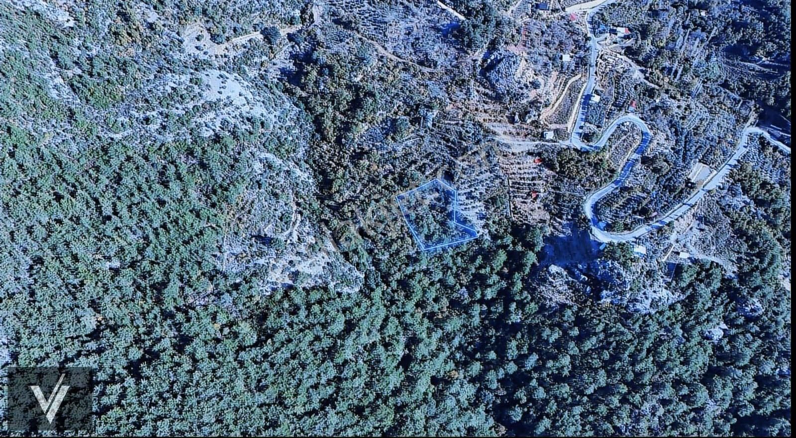 Doğa İçinde 1.407 M² Geniş Arazi Alanya Bademağacı - Görsel 2