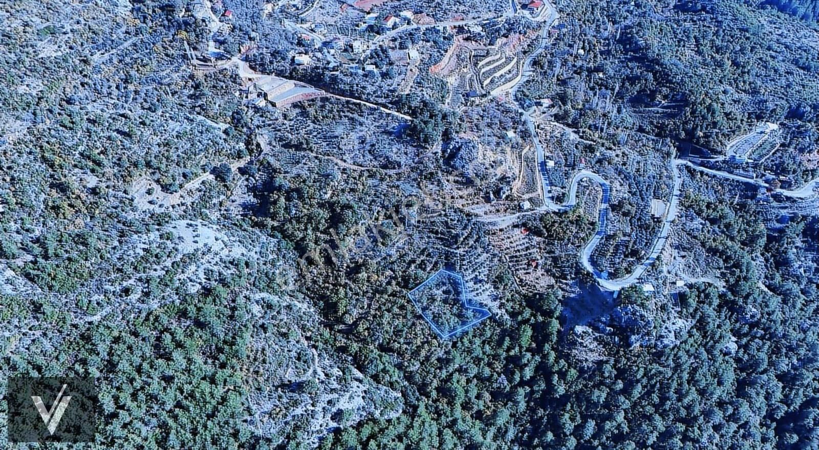 Doğa İçinde 1.407 M² Geniş Arazi Alanya Bademağacı - Görsel 3