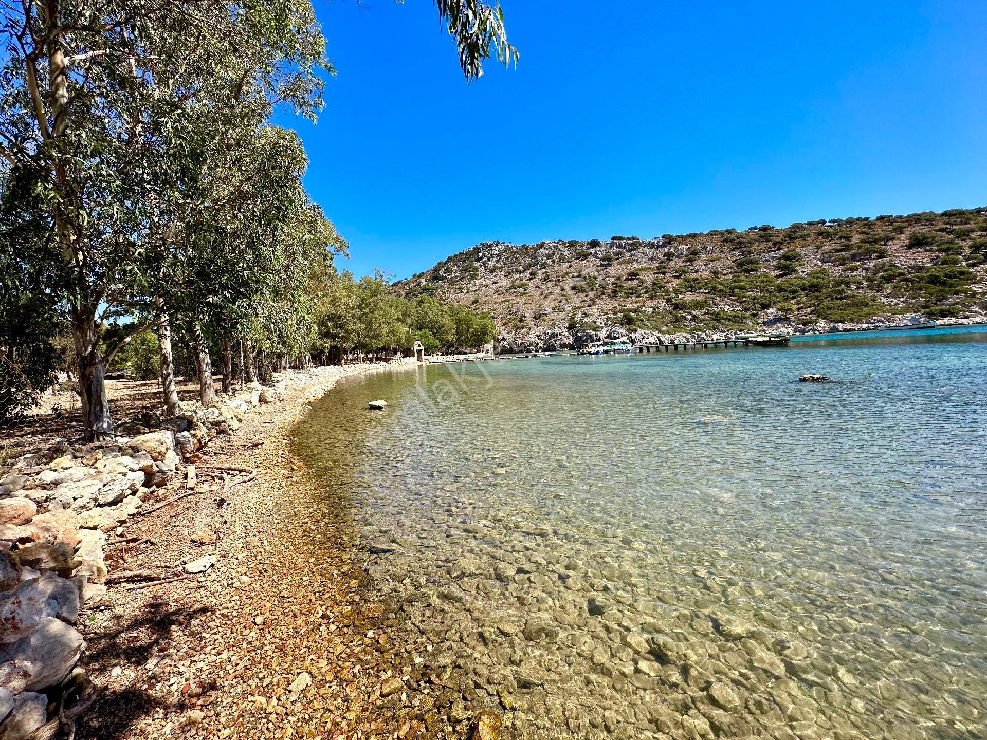 Joker: Marmaris Taşlıca Denize 750 Metre Yakınlıkta Kıymetli Konumda Tarla - Görsel 15