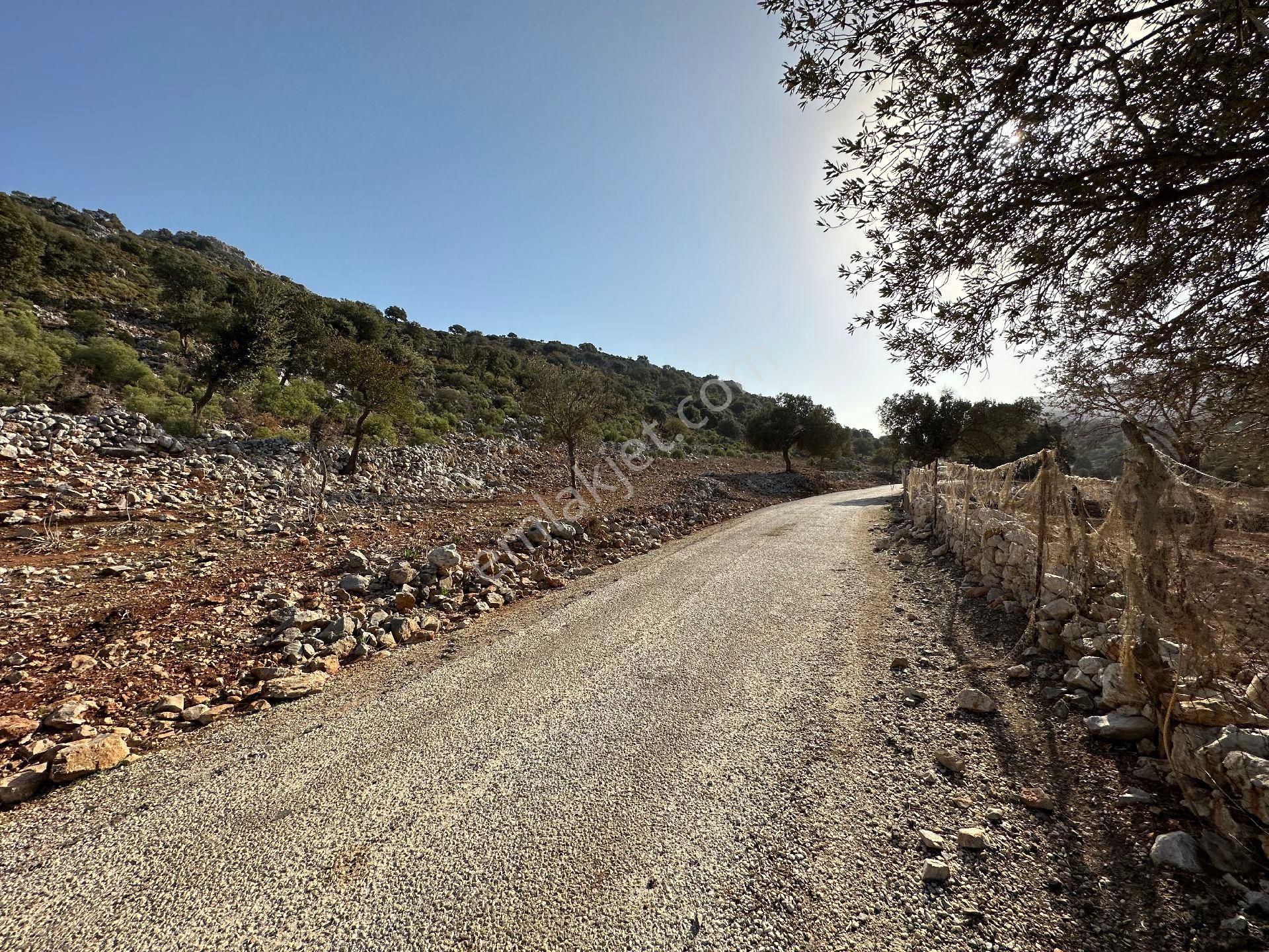 Joker: Marmaris Taşlıca Denize 750 Metre Yakınlıkta Kıymetli Konumda Tarla - Görsel 9