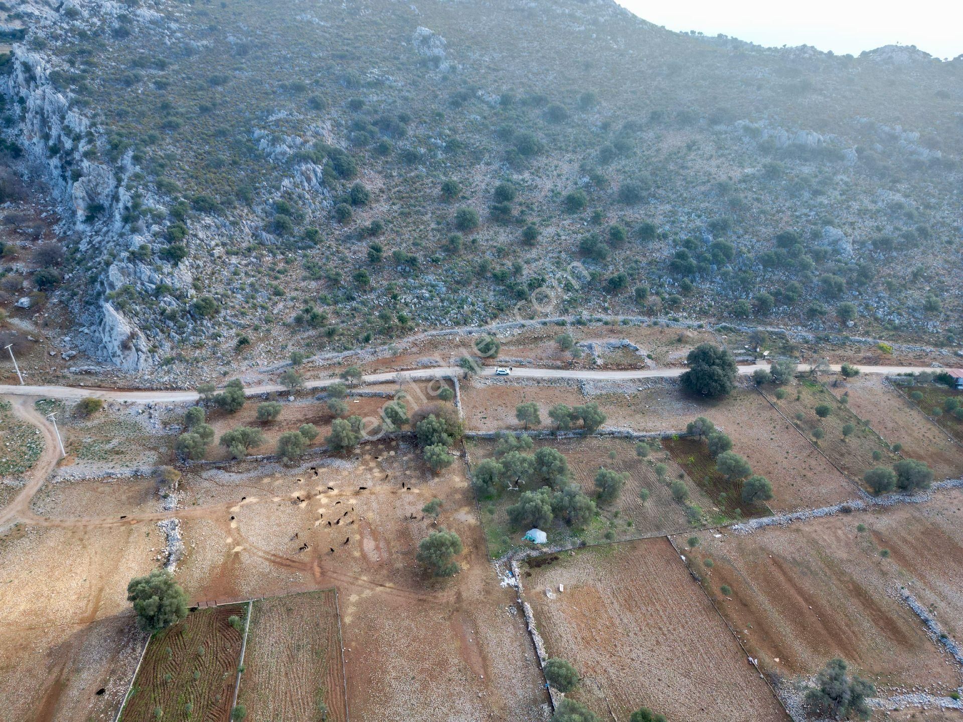 Joker: Marmaris Taşlıca Denize 750 Metre Yakınlıkta Kıymetli Konumda Tarla - Görsel 7