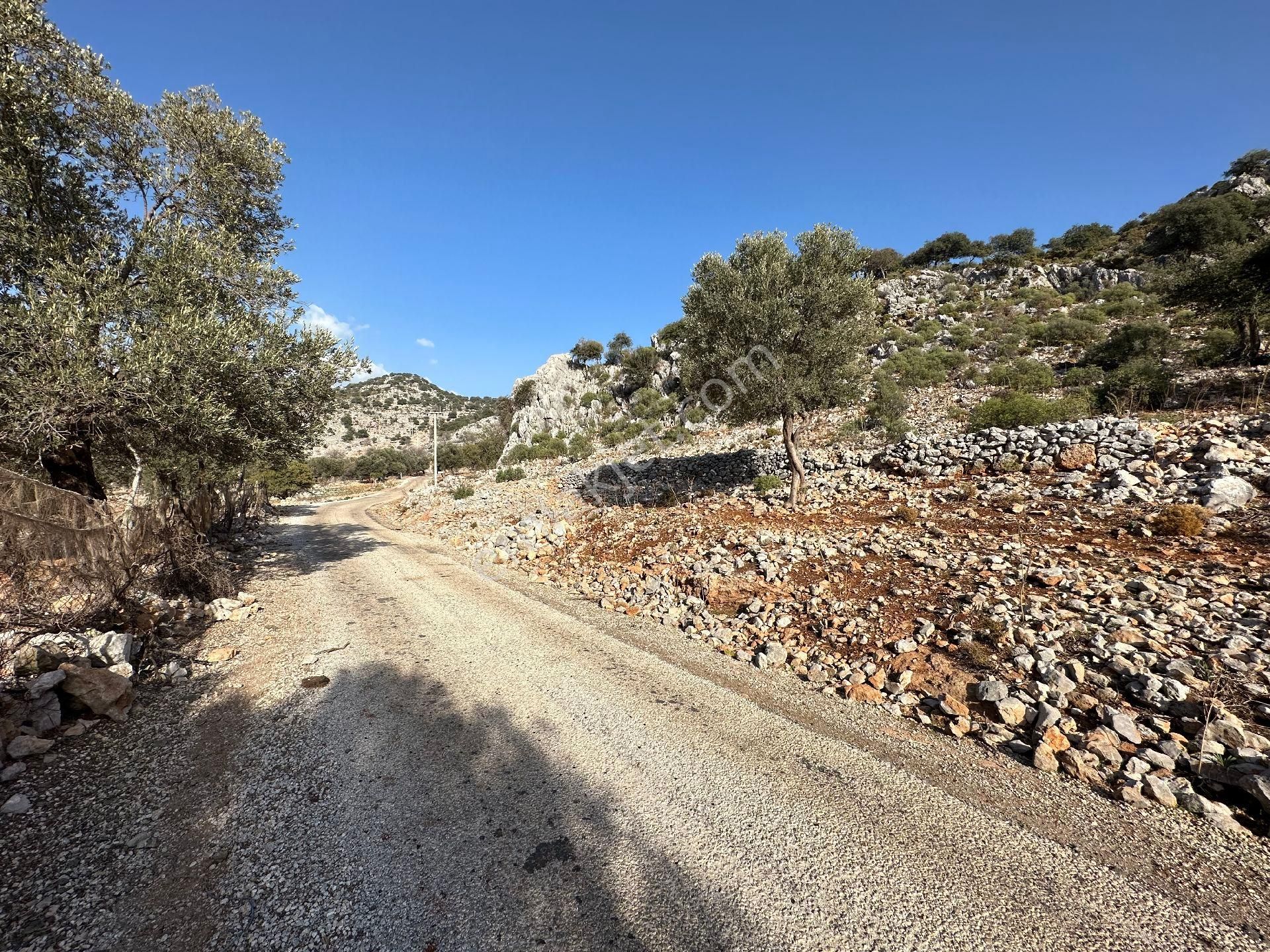 Joker: Marmaris Taşlıca Denize 750 Metre Yakınlıkta Kıymetli Konumda Tarla - Görsel 13