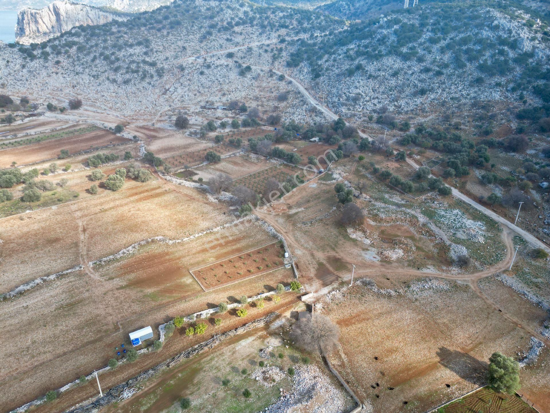 Joker: Marmaris Taşlıca Denize 750 Metre Yakınlıkta Kıymetli Konumda Tarla - Görsel 8