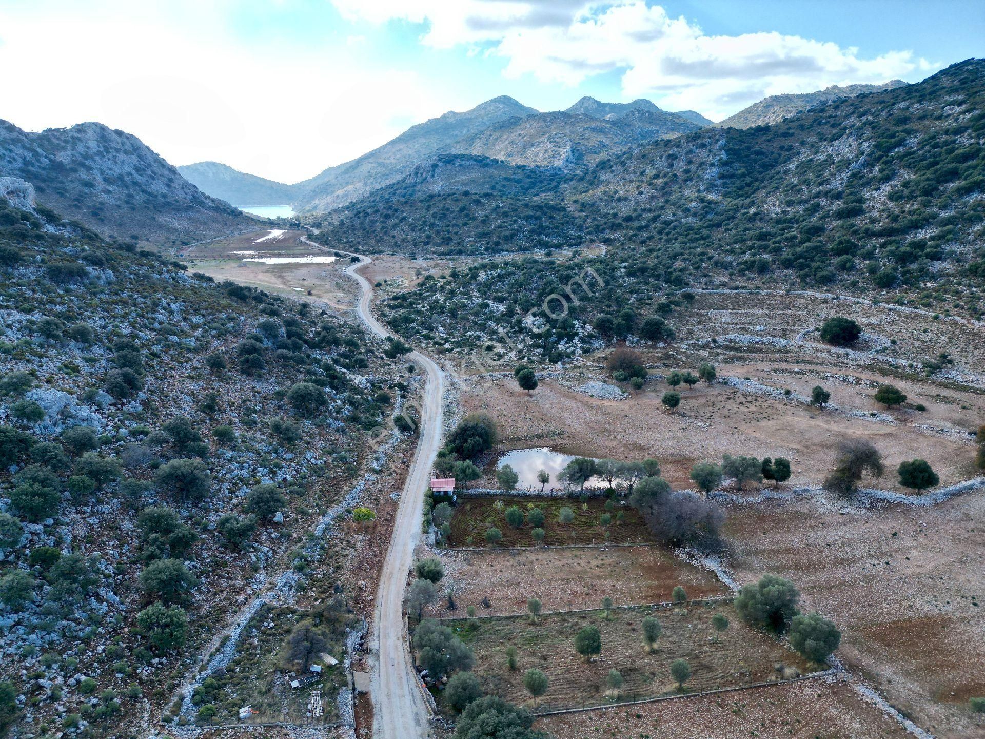 Joker: Marmaris Taşlıca Denize 750 Metre Yakınlıkta Kıymetli Konumda Tarla - Görsel 11