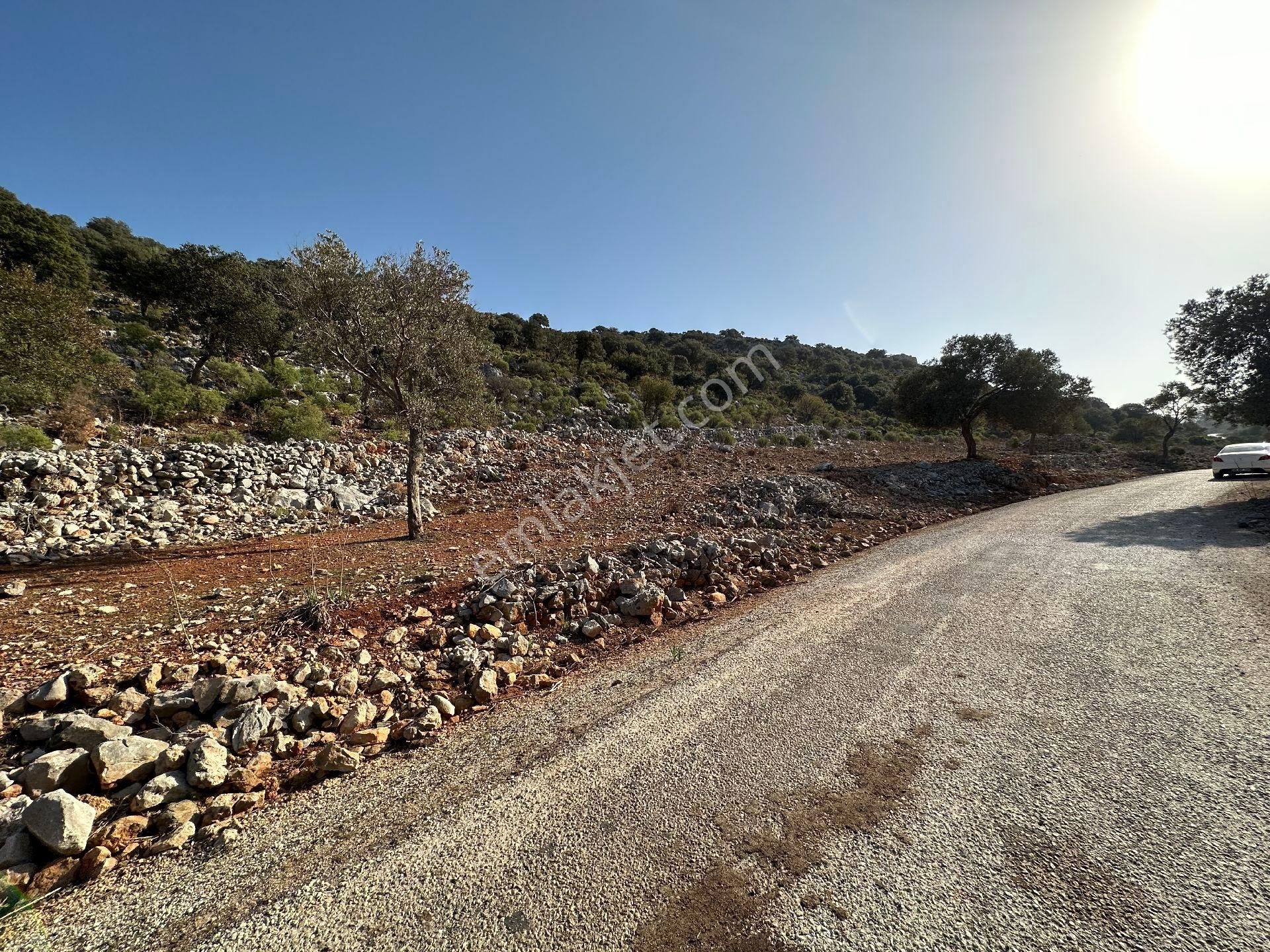 Joker: Marmaris Taşlıca Denize 750 Metre Yakınlıkta Kıymetli Konumda Tarla - Görsel 2