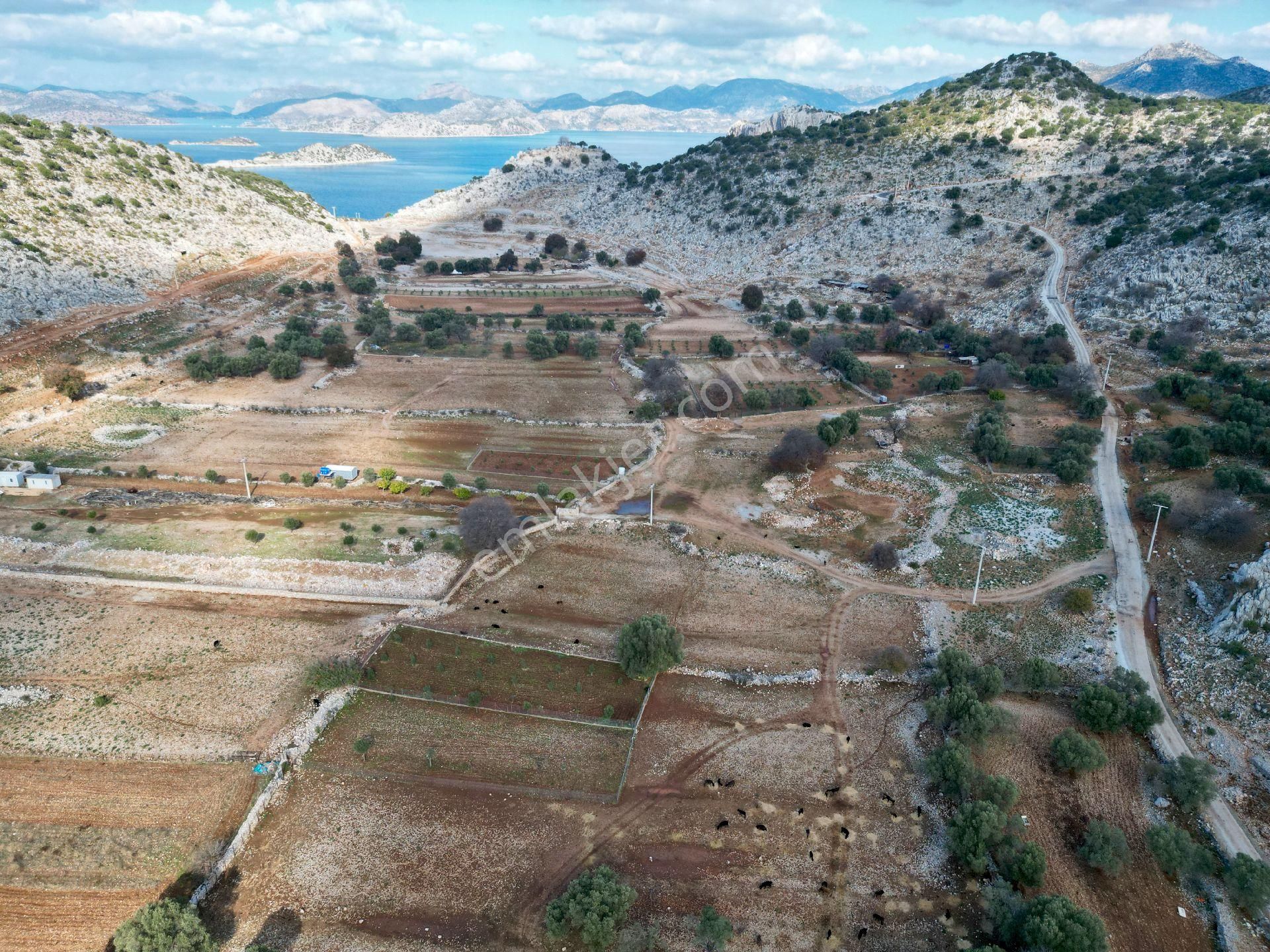 Joker: Marmaris Taşlıca Denize 750 Metre Yakınlıkta Kıymetli Konumda Tarla - Görsel 14