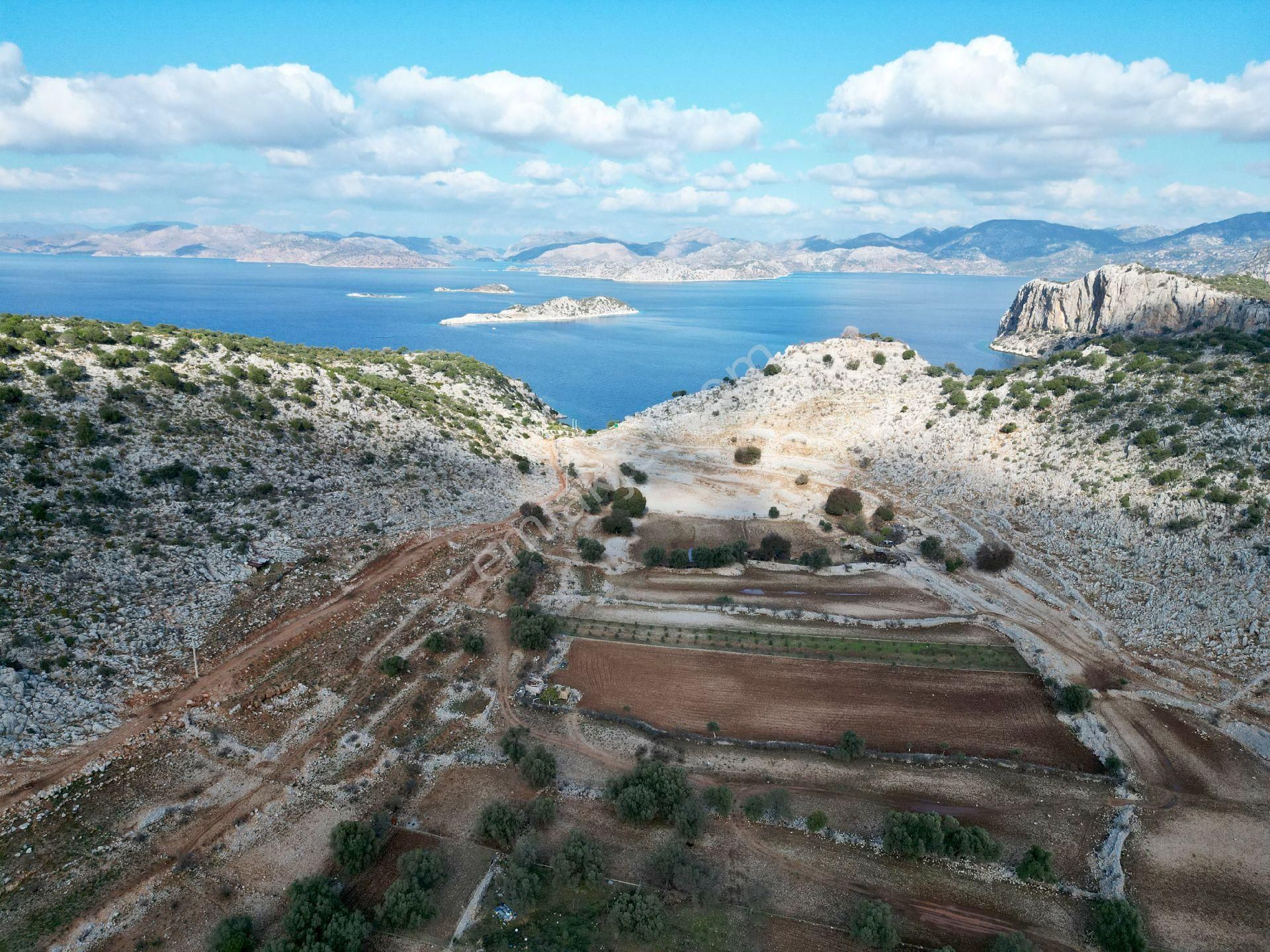 Joker: Marmaris Taşlıca Denize 750 Metre Yakınlıkta Kıymetli Konumda Tarla