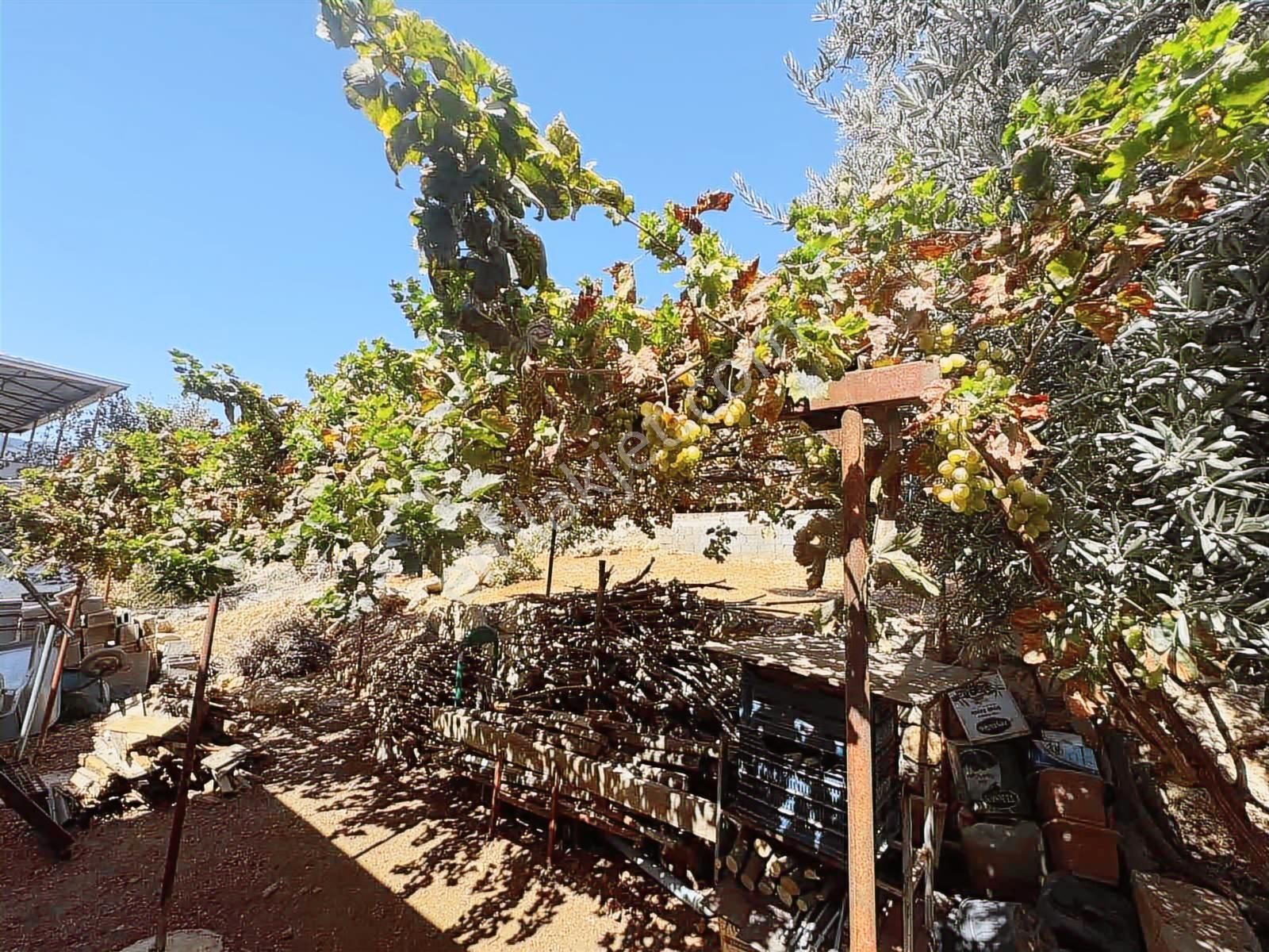 Metin Gayrimenkul'den Mezitli Bozon Mah Mustakil Ev - Görsel 9