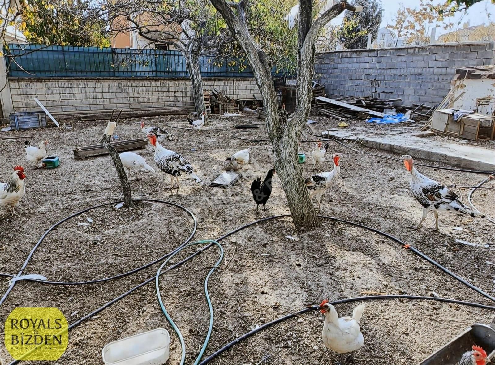 Selçuklu Hocacihan Mahallesinde Cadde Yakını 4+1 Müstaskil Ev - Görsel 8