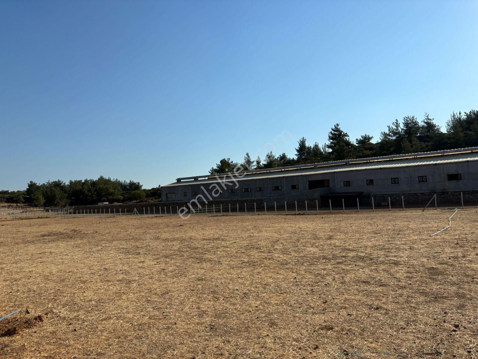 Adenus Gayrimenkul - Menderes Ataköy'de Hisse Tapu Satılık Bahçeler - Görsel 4