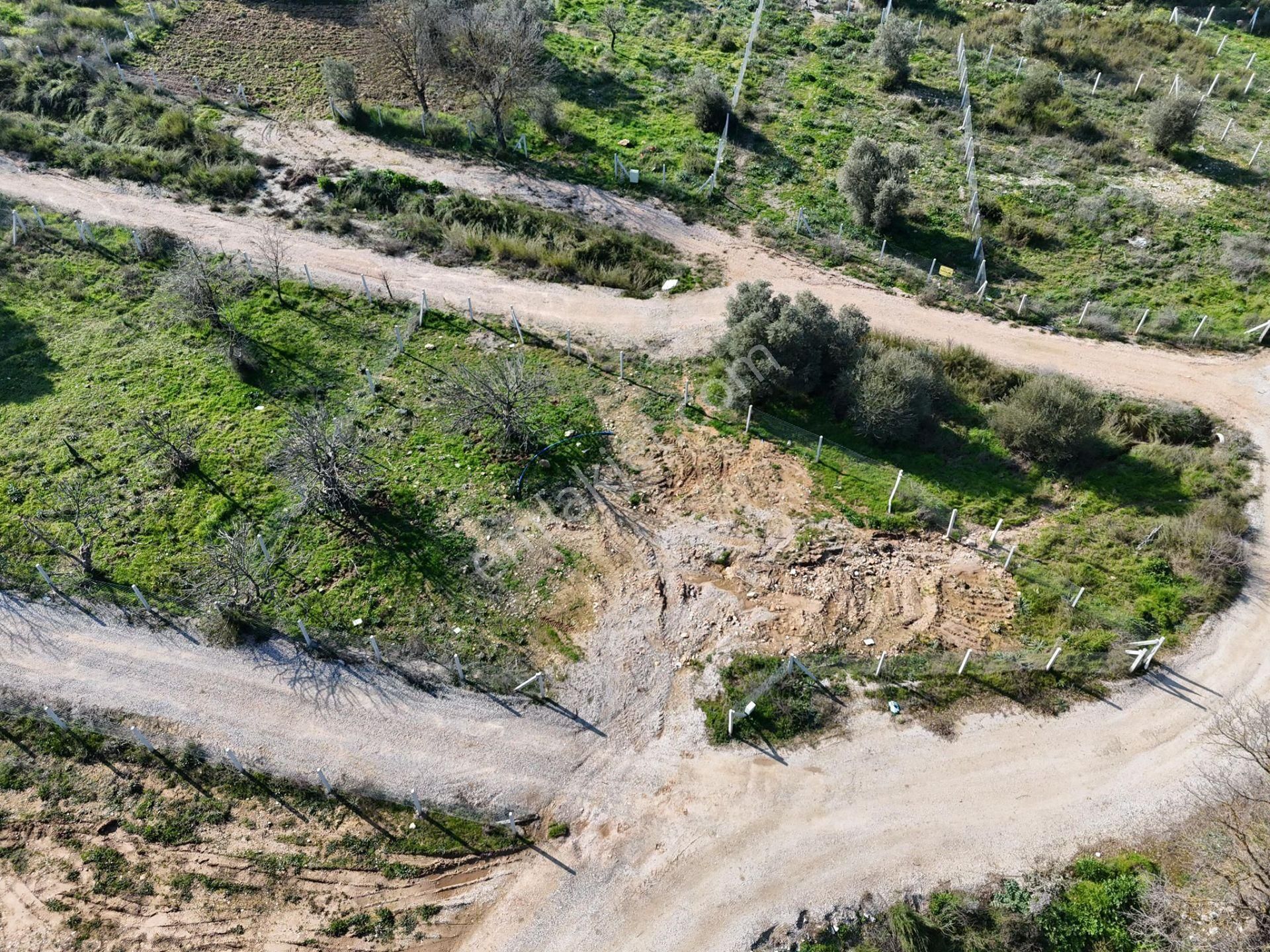 Adenus Gayrimenkul - Menderes Çakaltepe'de Araç Takasına Uygun Bahçeler - Görsel 5