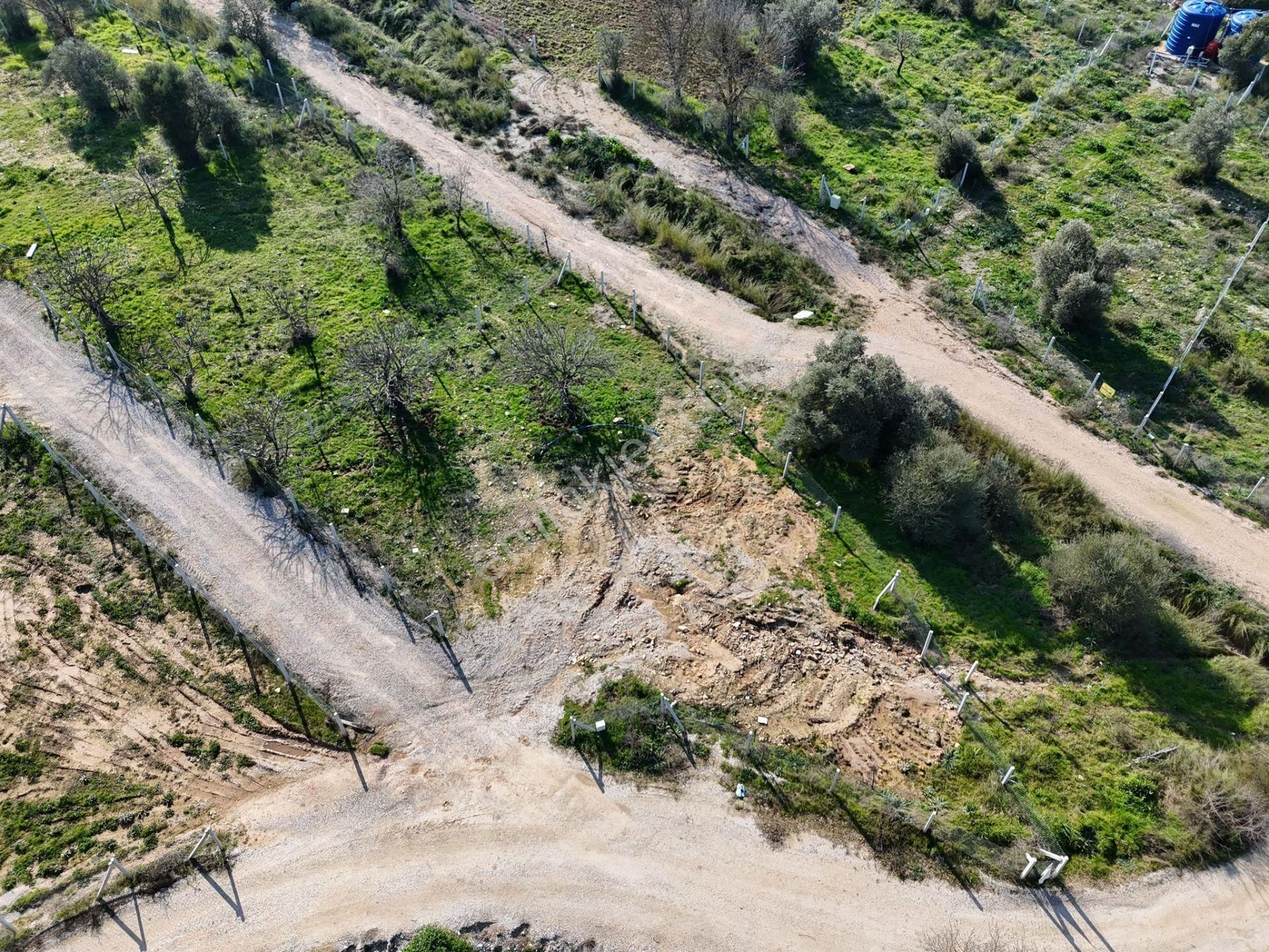 Adenus Gayrimenkul - Menderes Çakaltepe'de Araç Takasına Uygun Bahçeler - Görsel 12