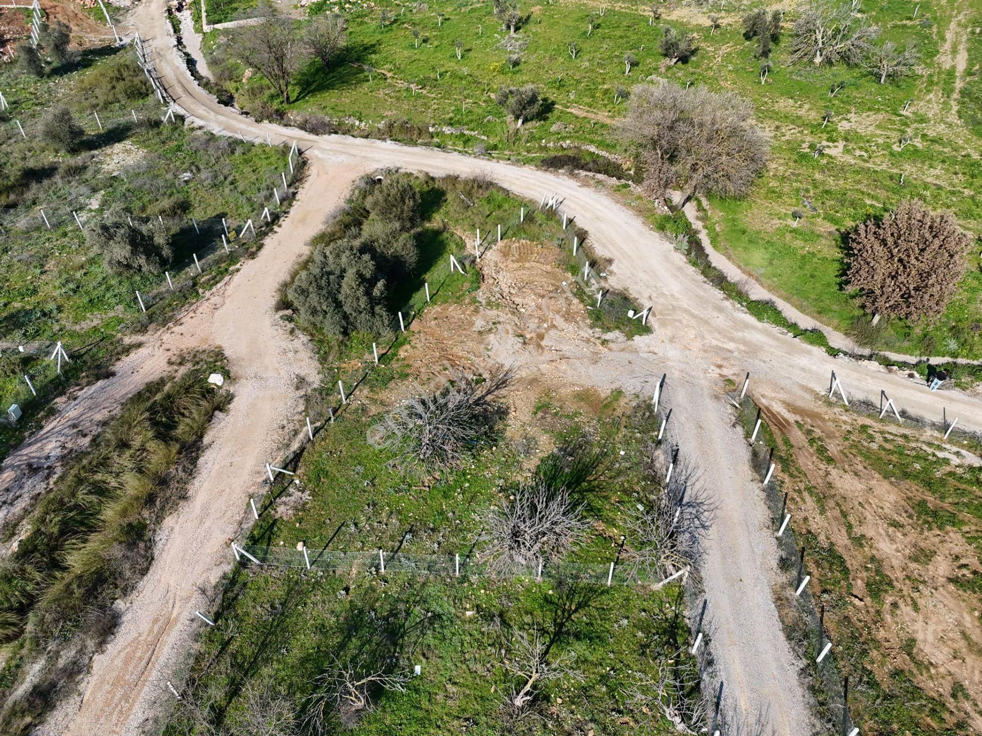 Adenus Gayrimenkul - Menderes Çakaltepe'de Araç Takasına Uygun Bahçeler - Görsel 18