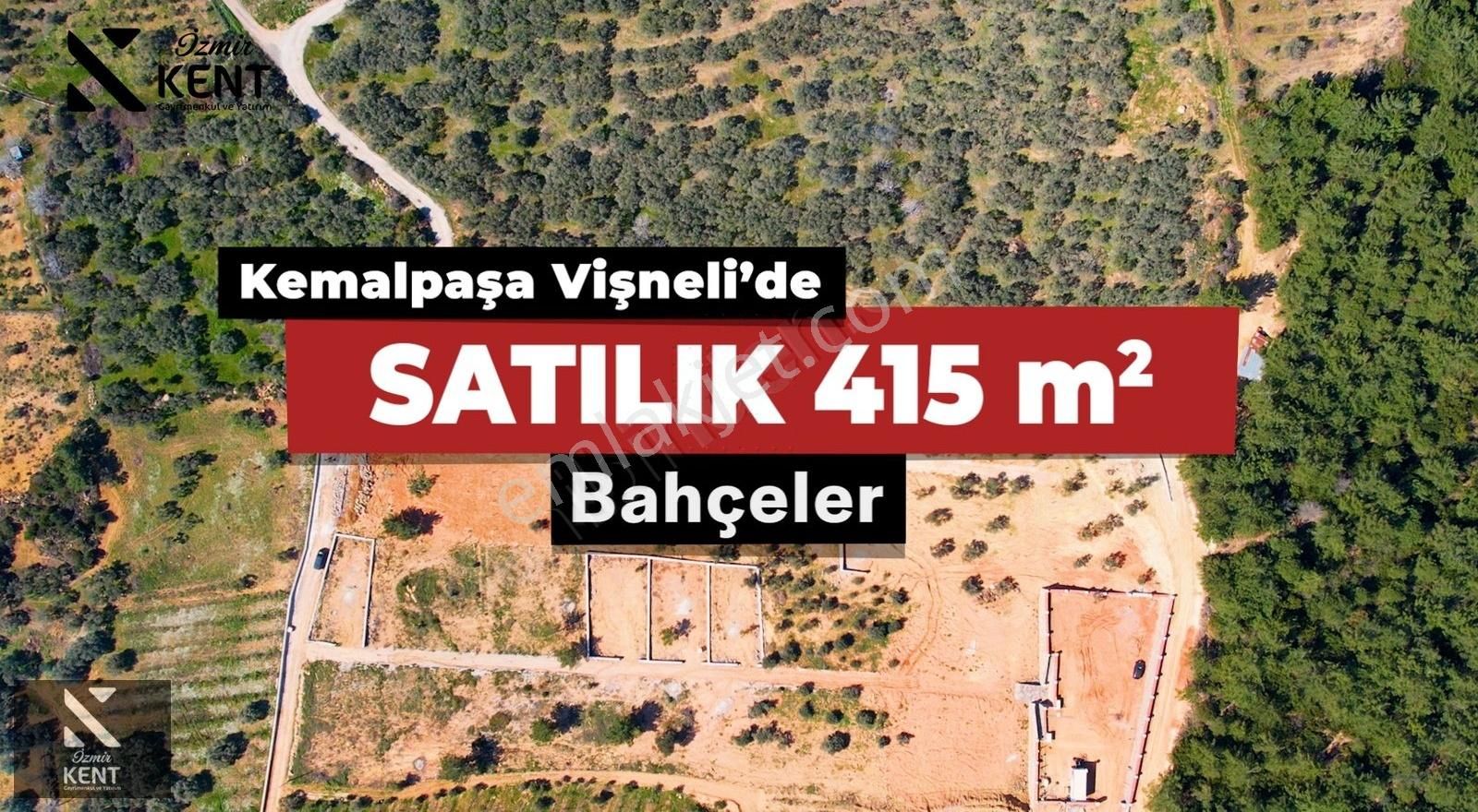 Kemalpaşa Vişneli Satılık 415 M2 Zeytin Bahçesi Elektrik Su Yol - Görsel 4