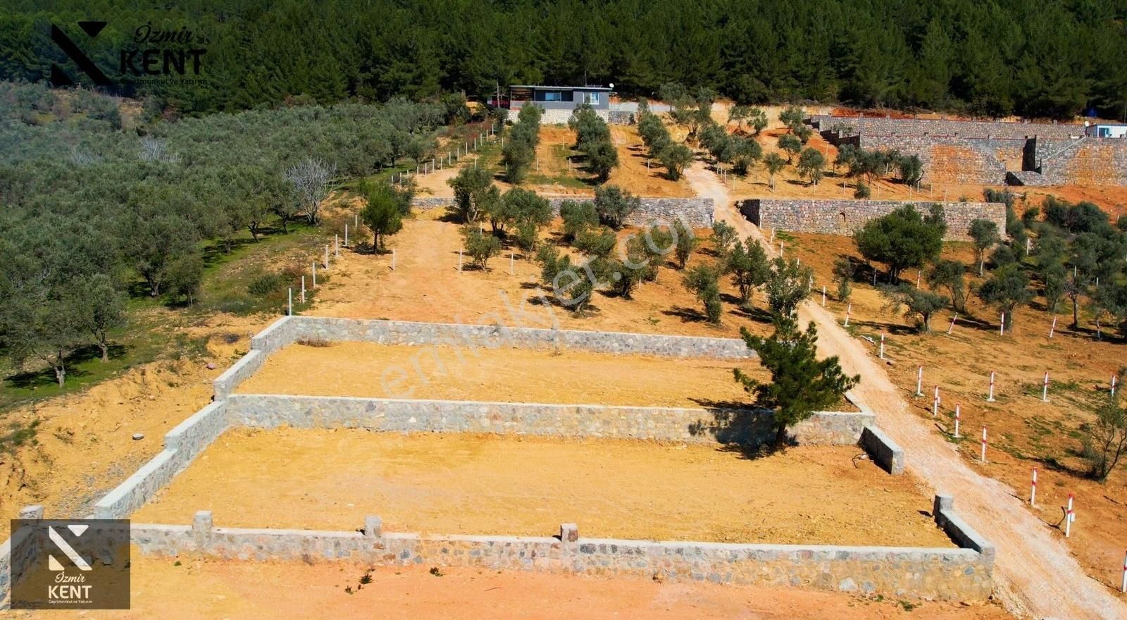 Kemalpaşa Vişneli Satılık 415 M2 Zeytin Bahçesi Elektrik Su Yol - Görsel 28