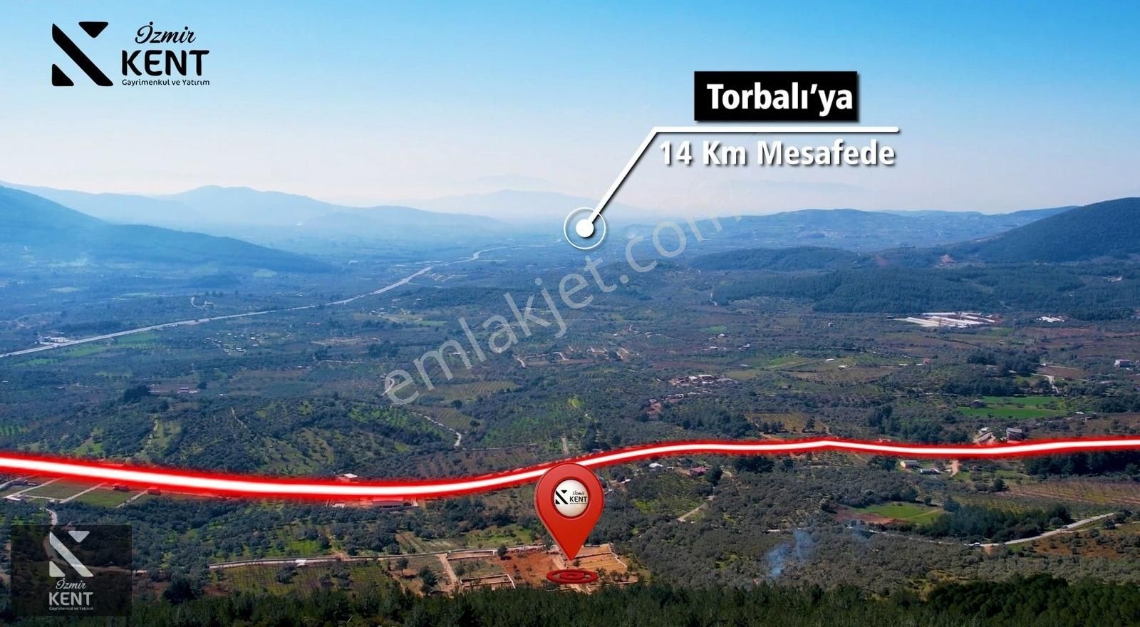 Kemalpaşa Vişneli Satılık 415 M2 Zeytin Bahçesi Elektrik Su Yol - Görsel 11