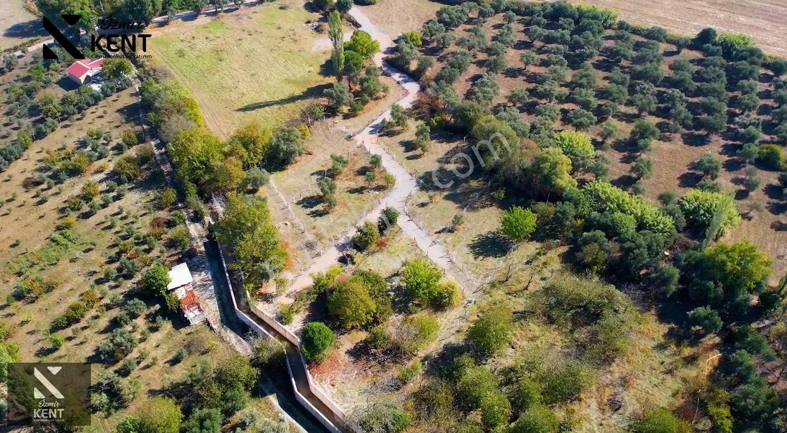 Kemalpaşa Satılık Bahçe 575 M2 Merkeze Çok Yakın | Elektrik - Su - Görsel 17