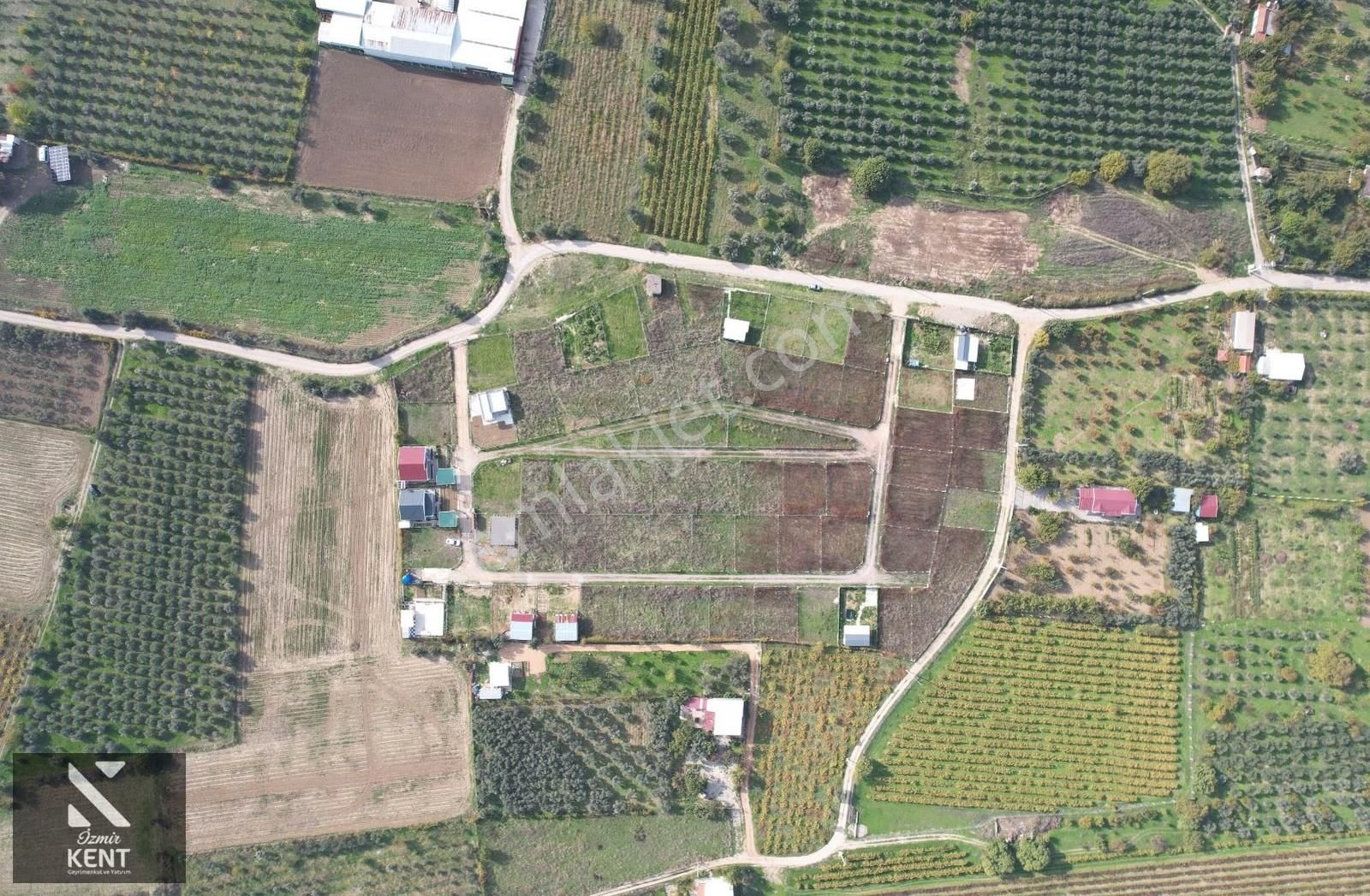 Satılık 303 M² Bahçe Elektrik-su Hazır Kemalpaşa Yukarıkızılca - Görsel 29