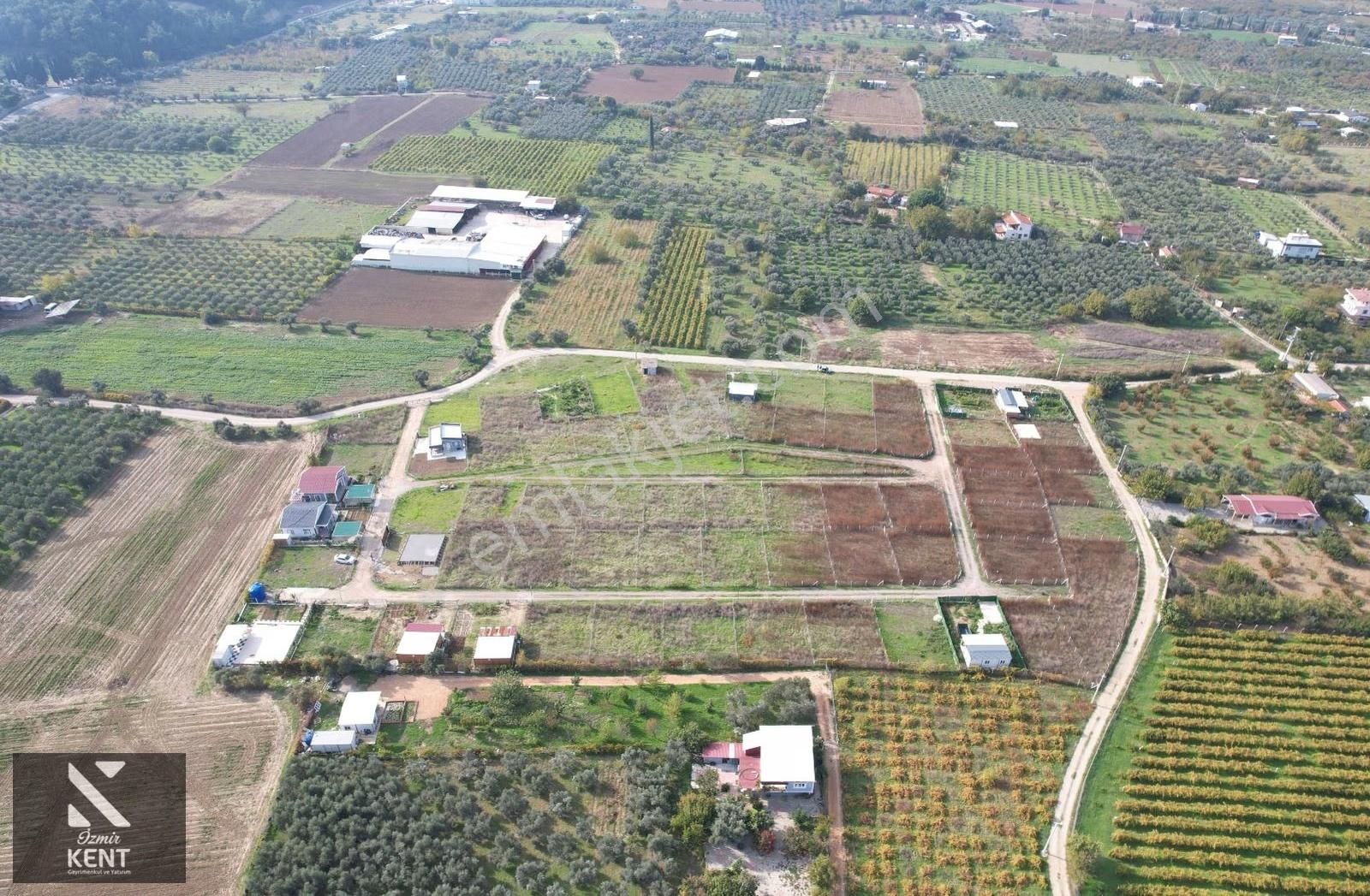 Satılık 303 M² Bahçe Elektrik-su Hazır Kemalpaşa Yukarıkızılca - Görsel 5