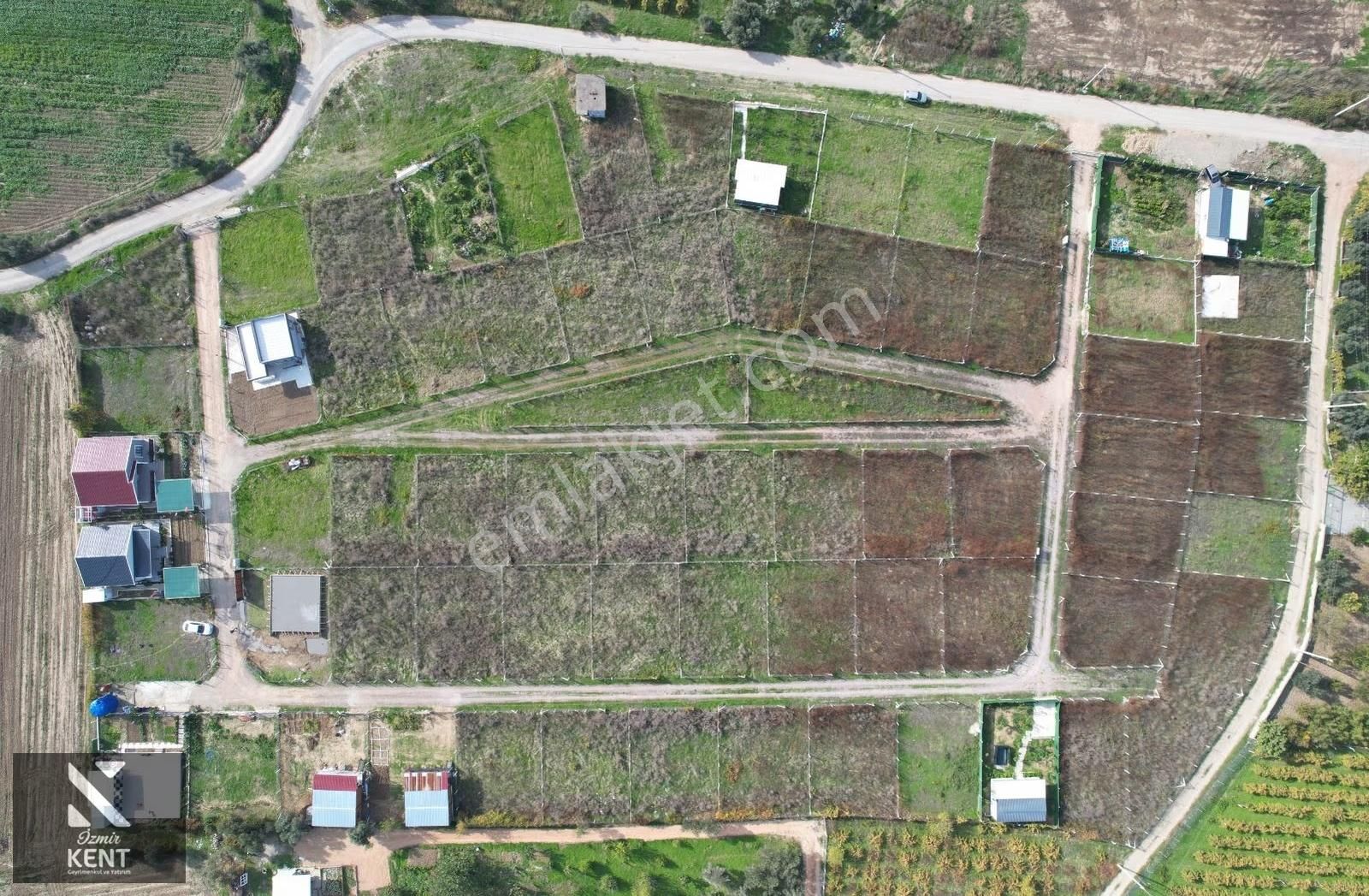 Satılık 303 M² Bahçe Elektrik-su Hazır Kemalpaşa Yukarıkızılca - Görsel 19