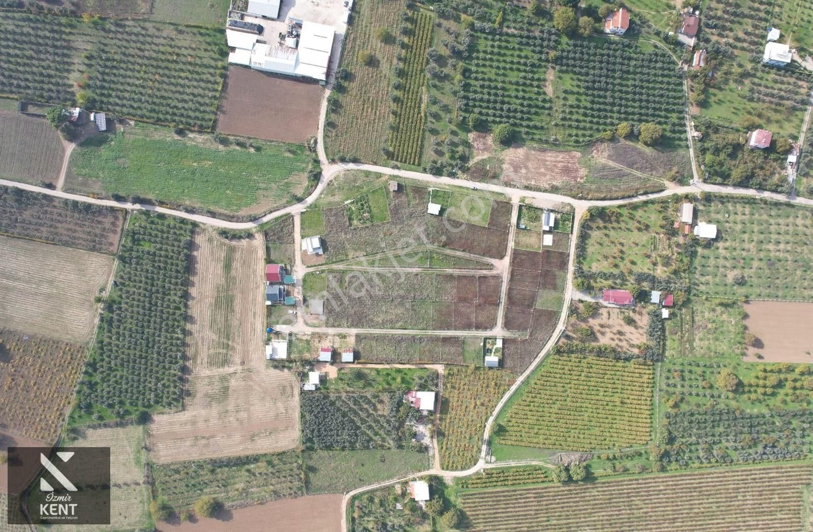 Satılık 303 M² Bahçe Elektrik-su Hazır Kemalpaşa Yukarıkızılca - Görsel 9
