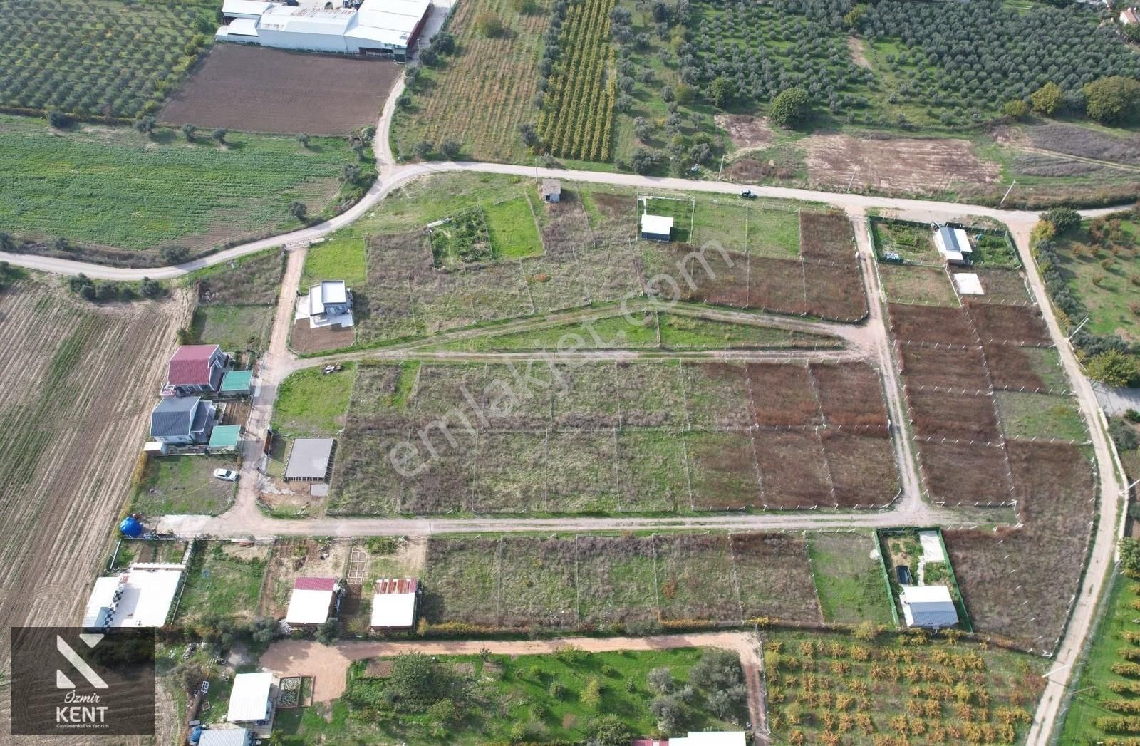 Satılık 303 M² Bahçe Elektrik-su Hazır Kemalpaşa Yukarıkızılca - Görsel 17