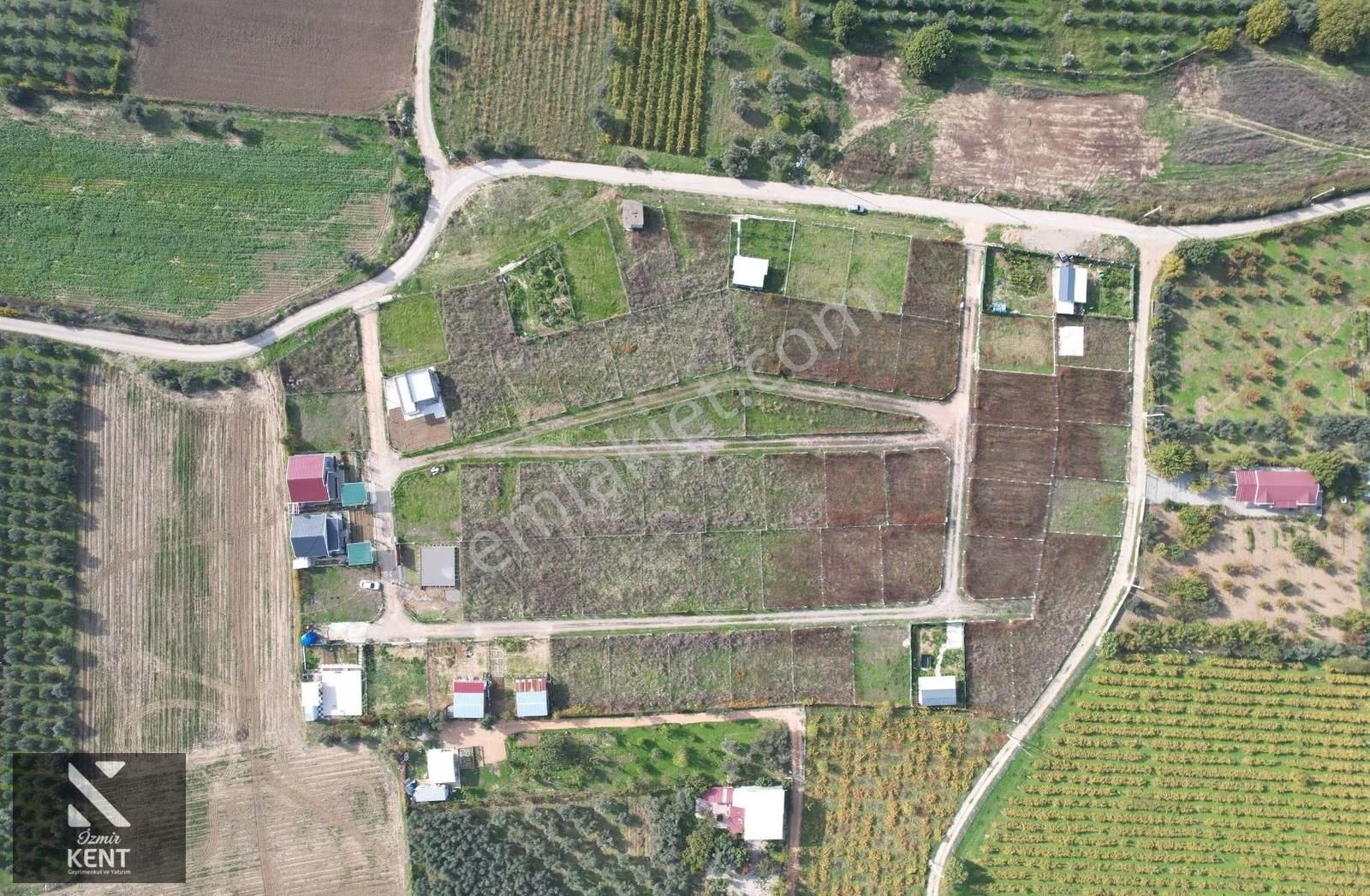 Satılık 303 M² Bahçe Elektrik-su Hazır Kemalpaşa Yukarıkızılca - Görsel 32