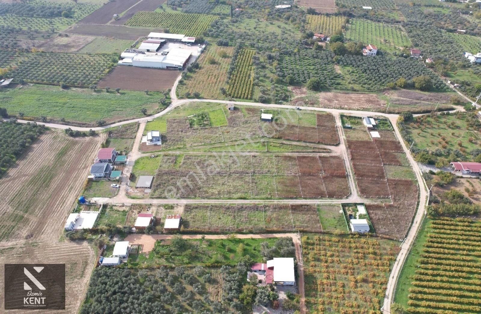 Satılık 303 M² Bahçe Elektrik-su Hazır Kemalpaşa Yukarıkızılca - Görsel 33